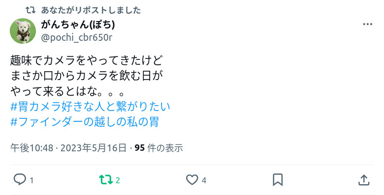 がんちゃん(ぽち) @pochi_cbr650r さんのツイート:
趣味でカメラをやってきたけど
まさか口からカメラを飲む日が
やって来るとはな。。。
#胃カメラ好きな人と繋がりたい
#ファインダーの越しの私の胃