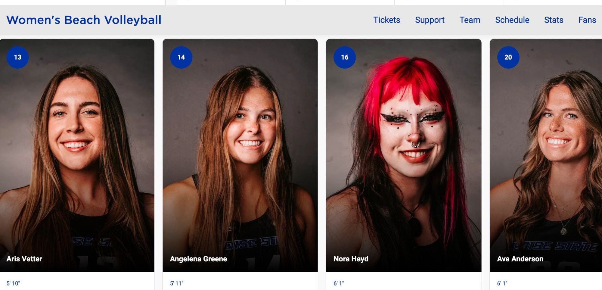 boise state beach volleyball roster. 3 look exactly as you'd expect and one looks like a juggalo