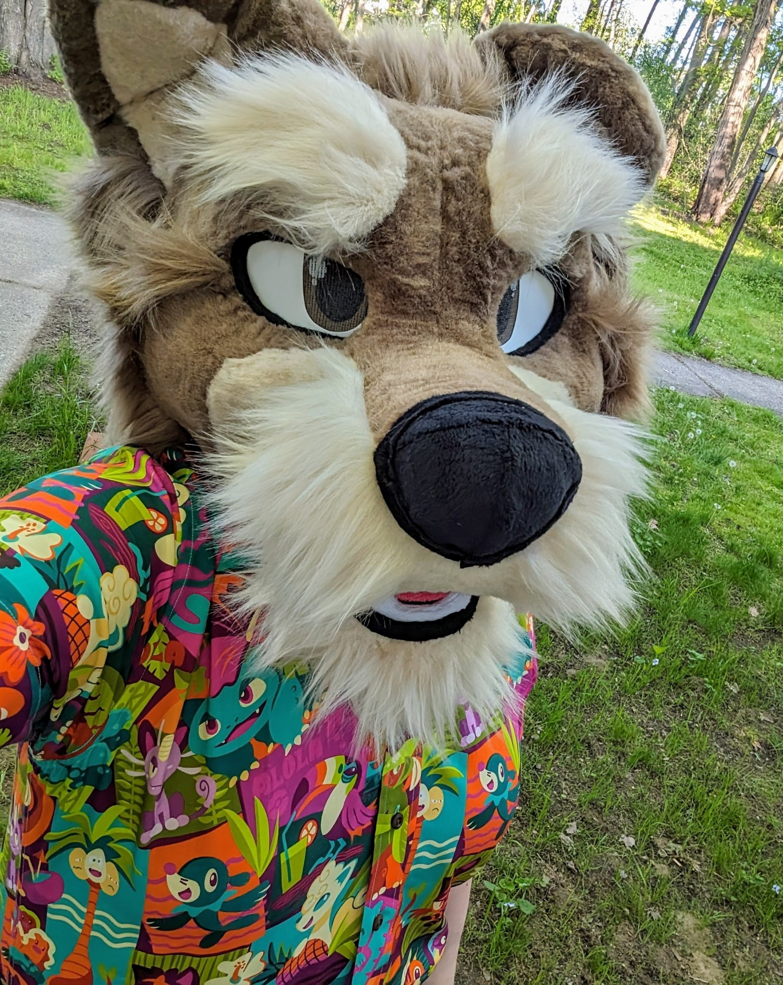 A brown and tan schnauzer fursuiter wearing a Hawaiian shirt featuring colorful Alolan Pokemon