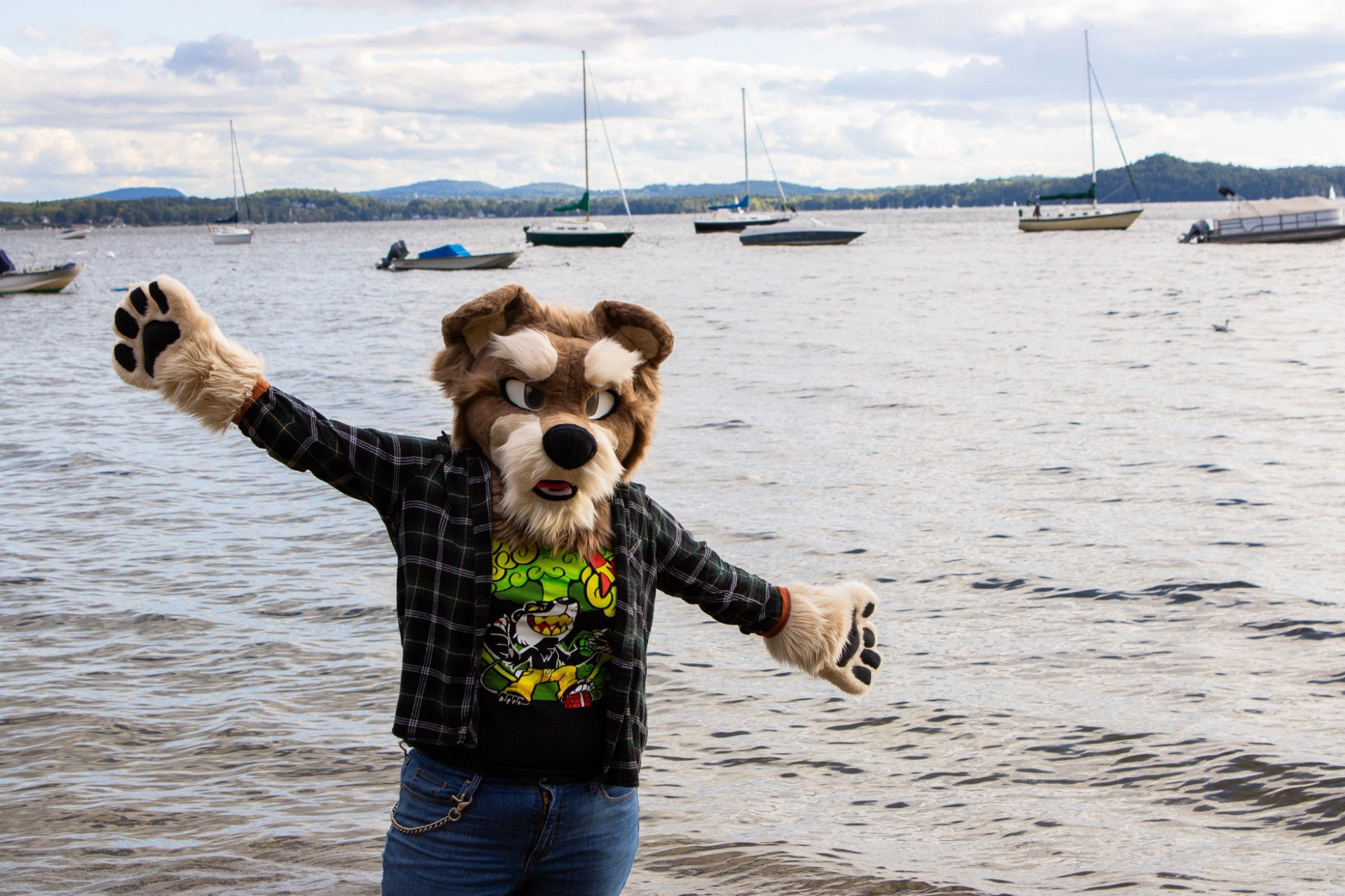 A brown and tan schnauzer fursuiter posing in front of sailboats on Lake Champlain