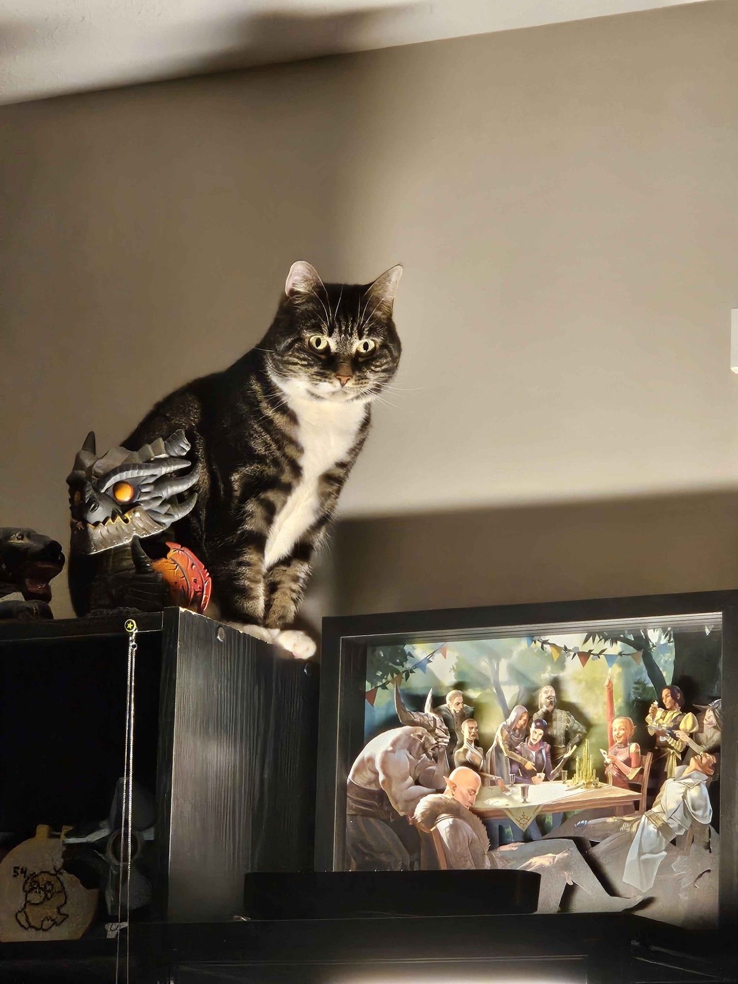 My gremlin of a cat Raven, a classic black and grey tabby, sitting on a shelf she knows she's not allowed on while a light gives her an extra spooky look