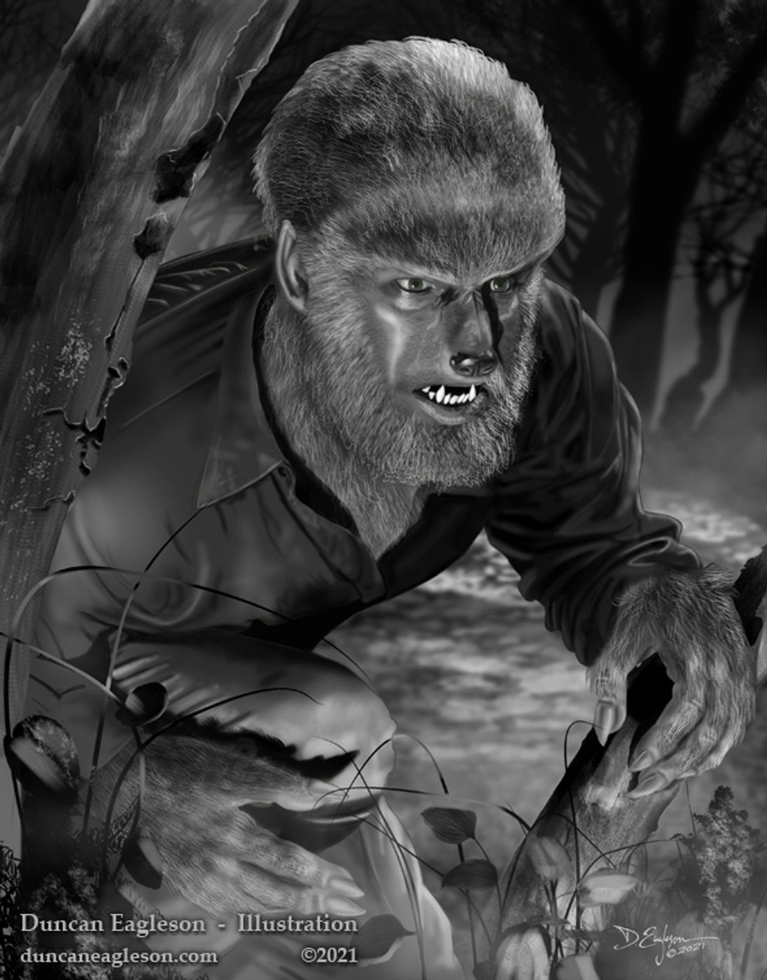 A black &white rendering of Lon Chaney Jr. in full furry makeup as the title character in The Wolf Man (1941).  Digital painting by Duncan Eagleson © 2021