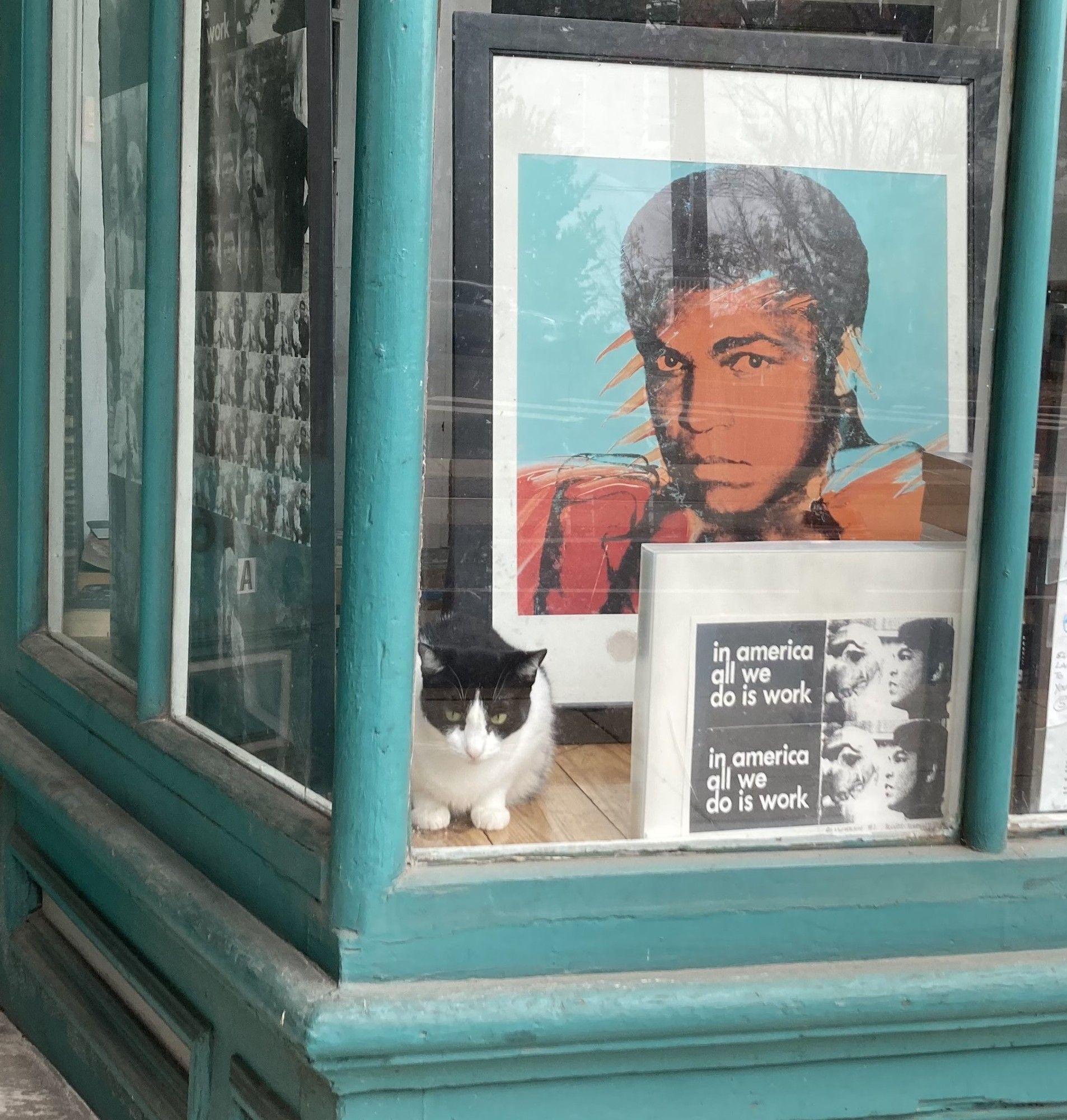 Black & white cat is perched in a street-level bay window among several works of art, vigilantly surveying the street.