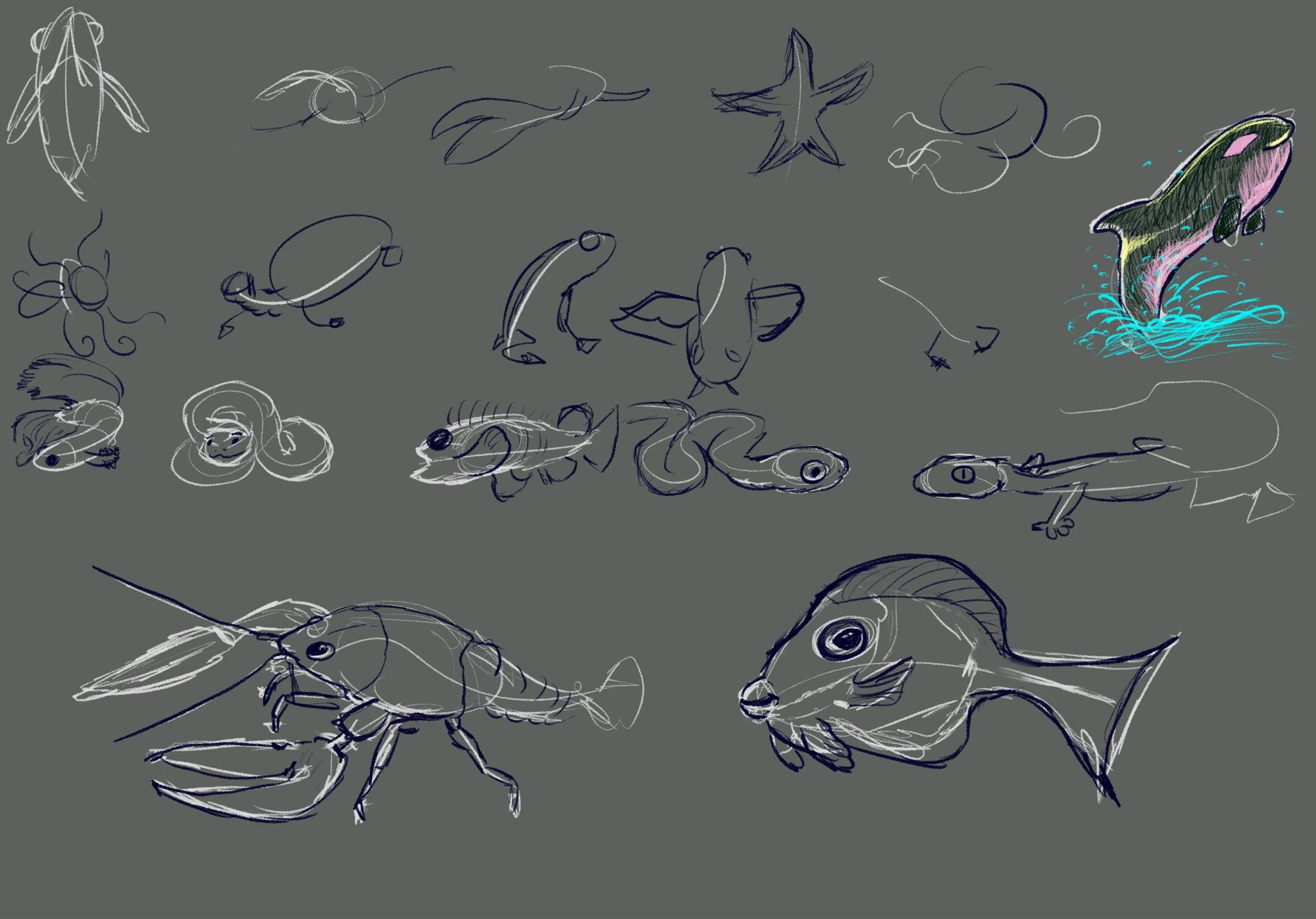 A bunch of doodles of various creatures, including lizards, fish, a frog, a starfish, and also an orca.