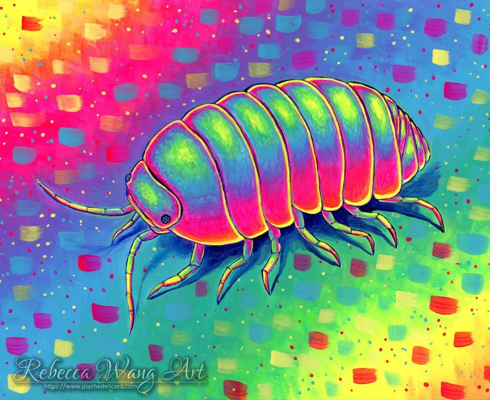 A colorful painting of an isopod in bright rainbow colors. 