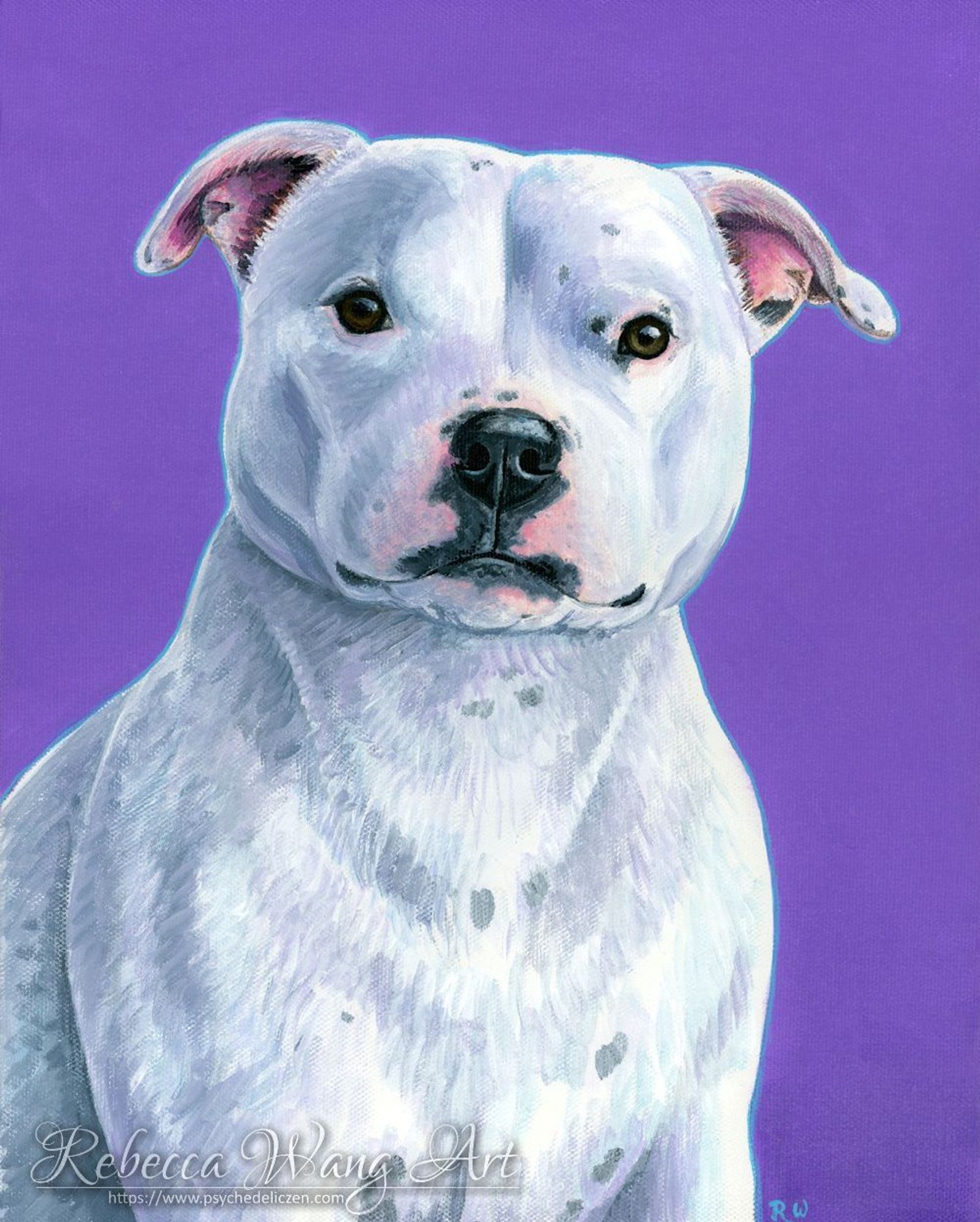 A painting of a white staffordshire bull terrier dog with a bright purple background.