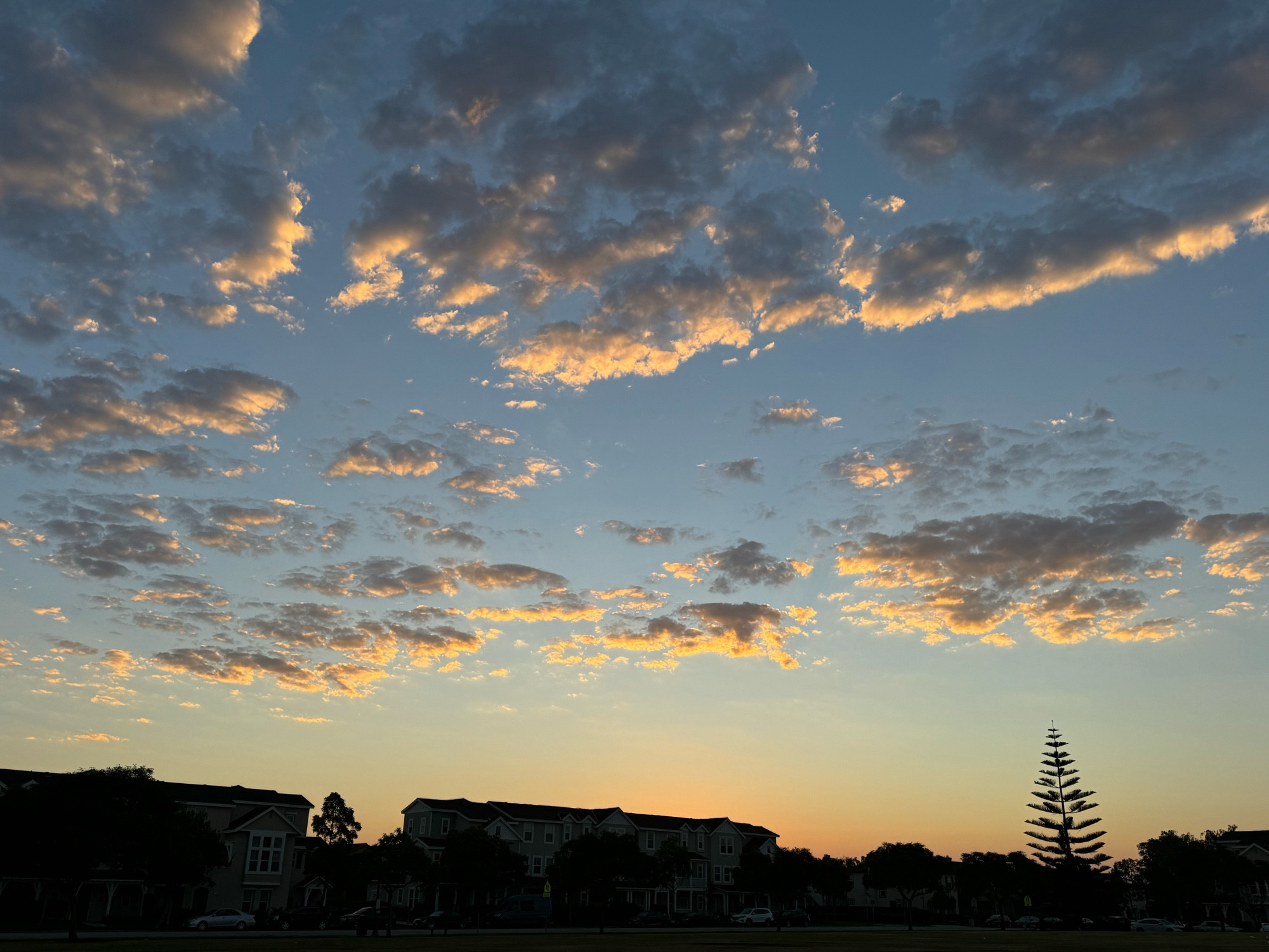 Sunrise over a silhouetted suburban scene.