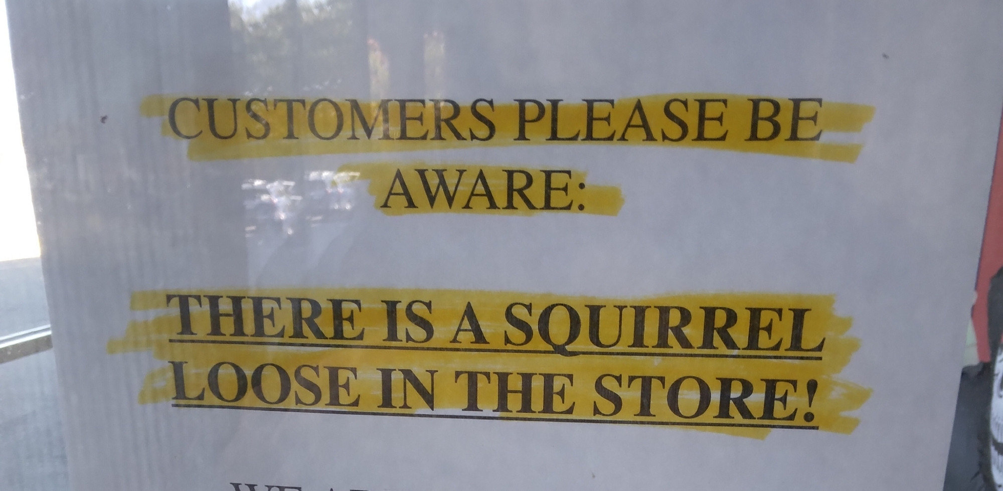 "Customers please be aware: There is a squirrel loose in the store"