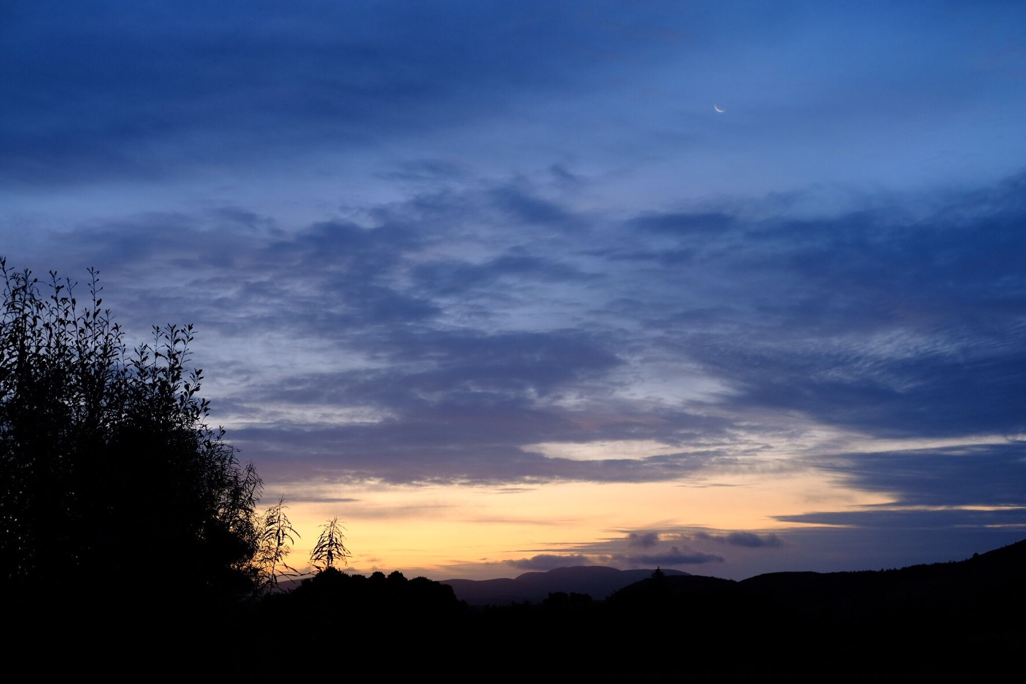 Early morning sky with a sliver of moon