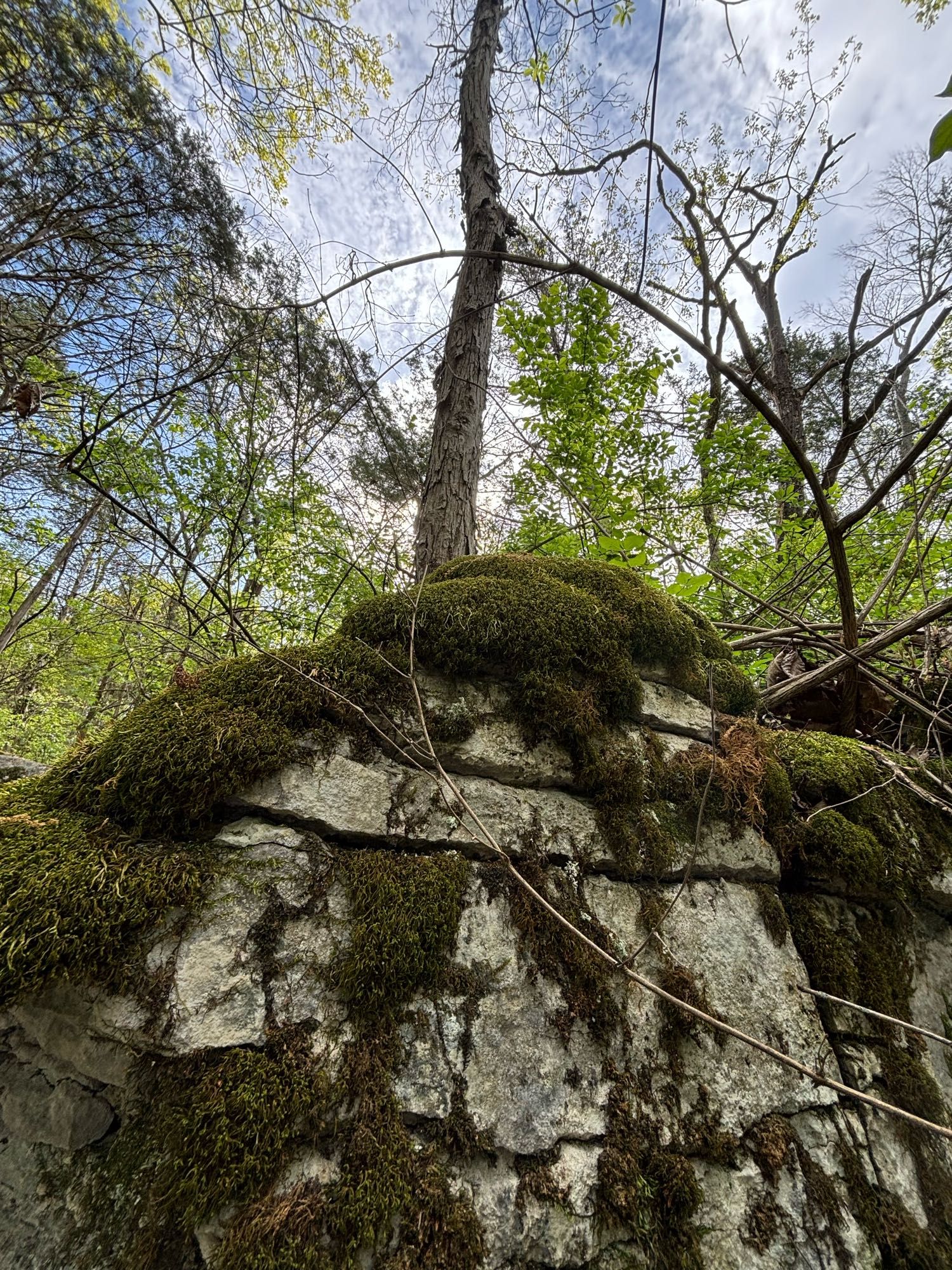 A large limestone rock covered with moss is in the foregrown and a blue sky and trees in the background with some wispy white clouds.