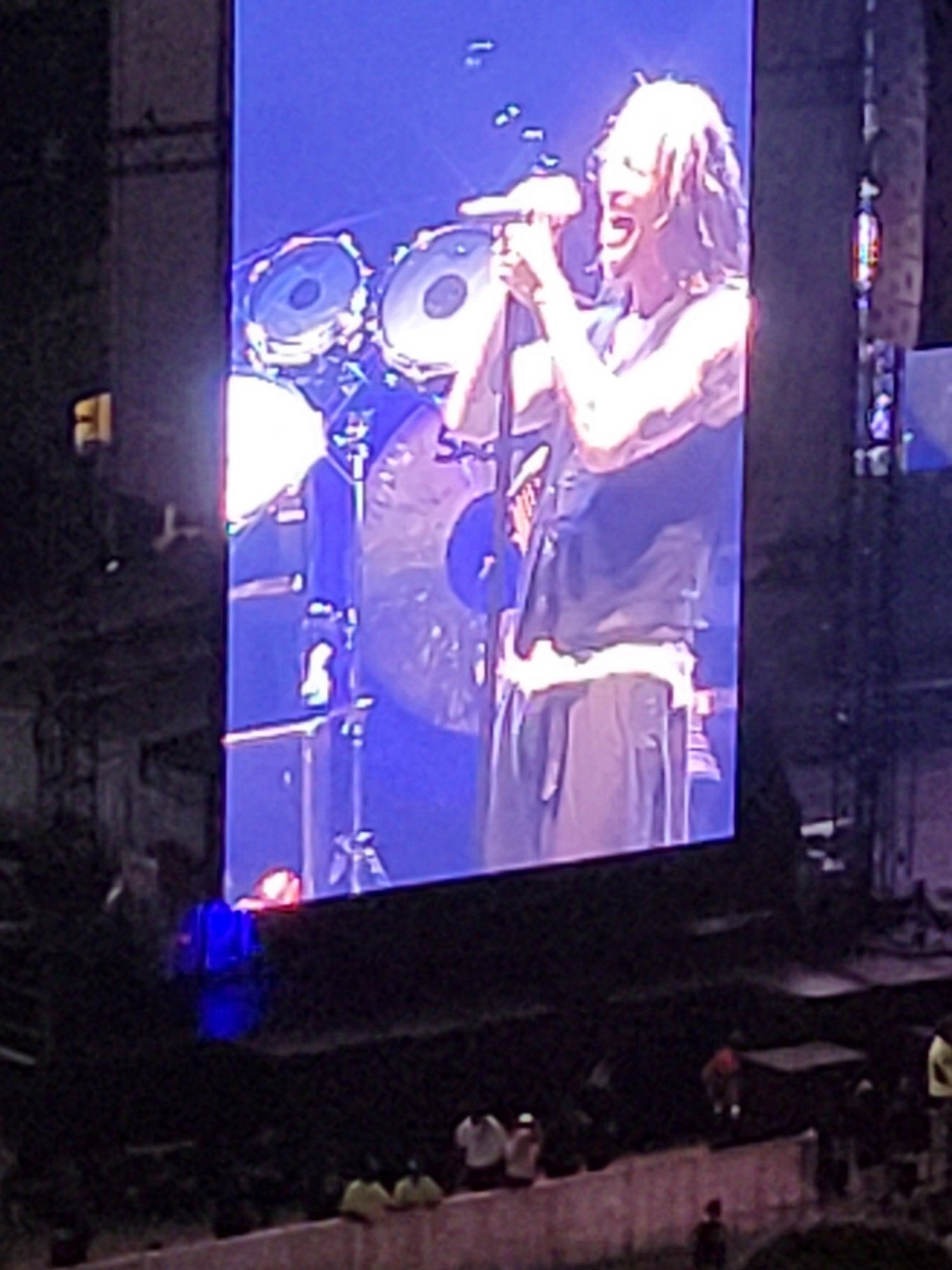 The lead singer of Incubus looking like he's ready to kill Laura Palmer