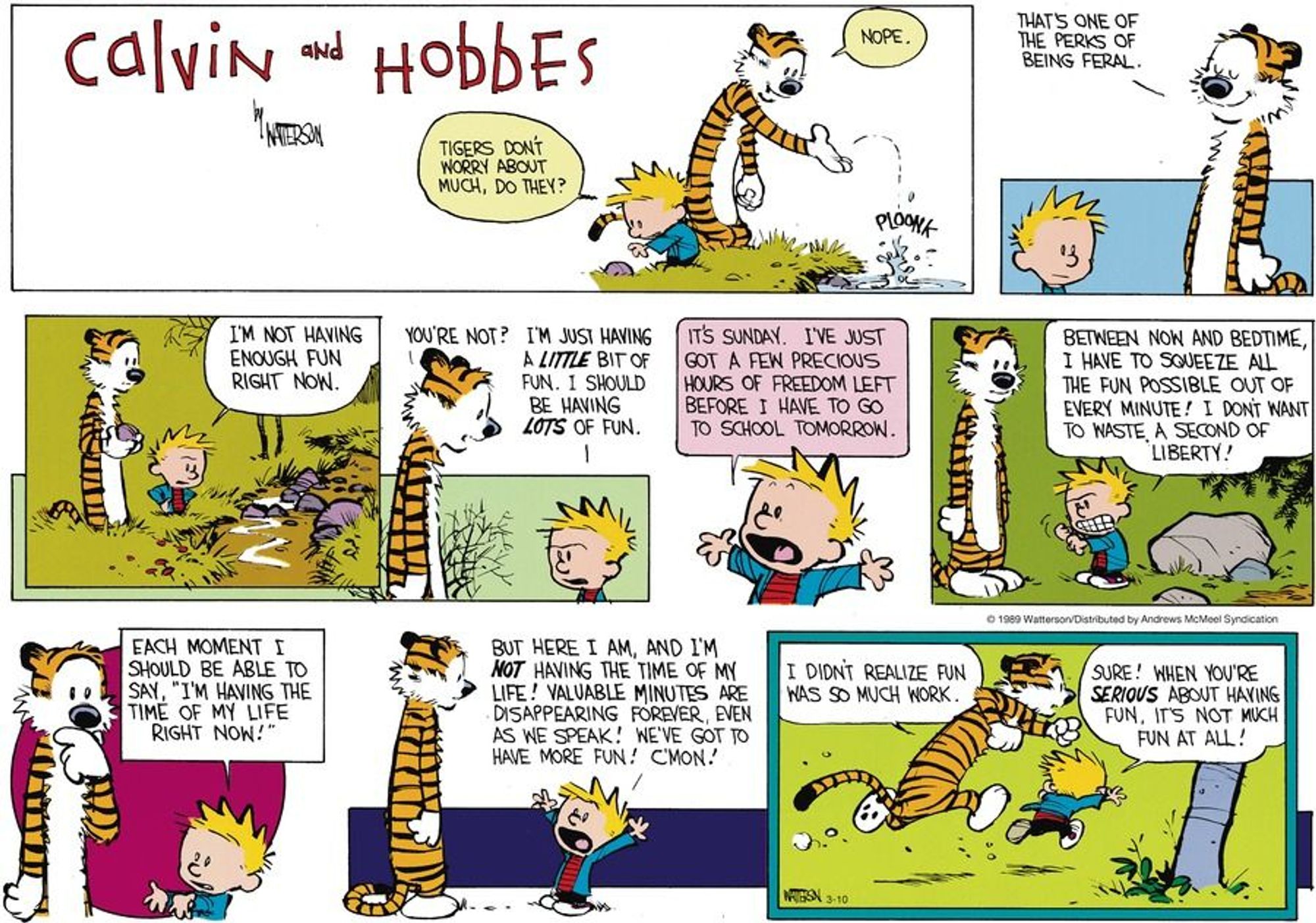 Panel 1:
Calvin: Tigers don't worry about much, do they?
Hobbes: Nope.

P2:
Hobbes: That's one of the perks of being feral.

P3: (forest)
C: I'm not having enough fun right now.
H: You're not?
C: I'm just having a LITTLE bit of fun. I should be having LOTS of fun.

P4:
C: It's Sunday. I've just got a few precious hours of freedom left before I have to go to school tomorrow.
C: (gritting his teeth) Between now and bedtime, I have to squeeze all the fun possible out of every minute! I don't want to waste a second of liberty!

P5:
Calvin: Each moment I should be able to say "I'm having the time of my life right now!"

P6:
C: But here I am, and I'm NOT having the time of my life! Valuable minutes are disappearing forever even as we speak! We've got to have more fun! C'mon!
<they run>
H: I didn't realize fun was so much work.
C: Sure! When you're SERIOUS about having fun, it's not much fun at all!