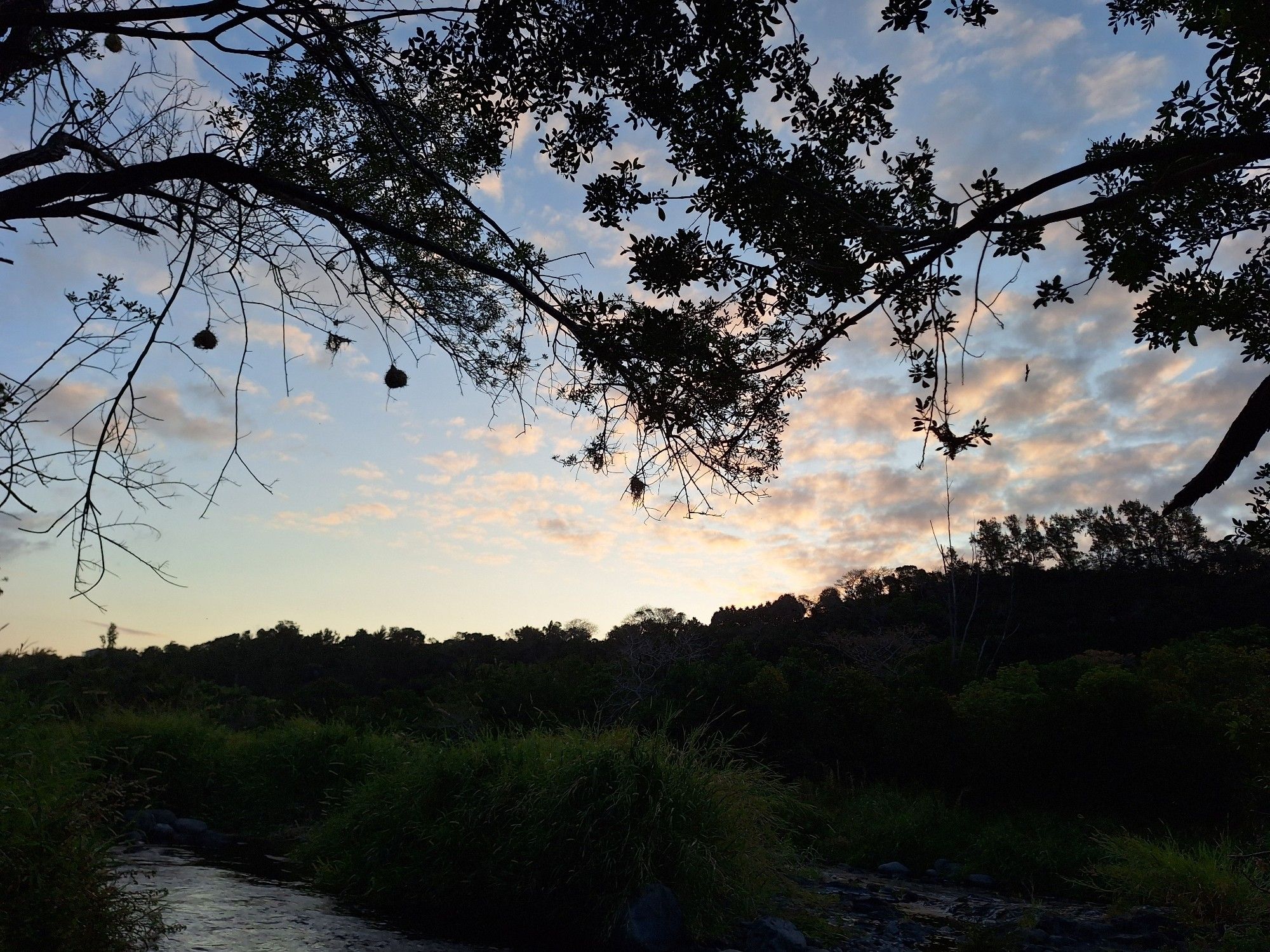 Rivière Langevin avec des arbres en contre-jour