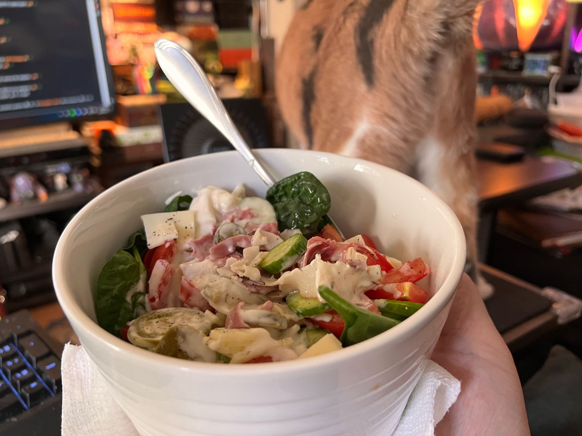 mixed green salad in a white bowl: spinach, cucumber, tomato, jalapeño, swiss, deli turkey & beef, with ranch dressing. moon pie’s fluffy cat butt in the background