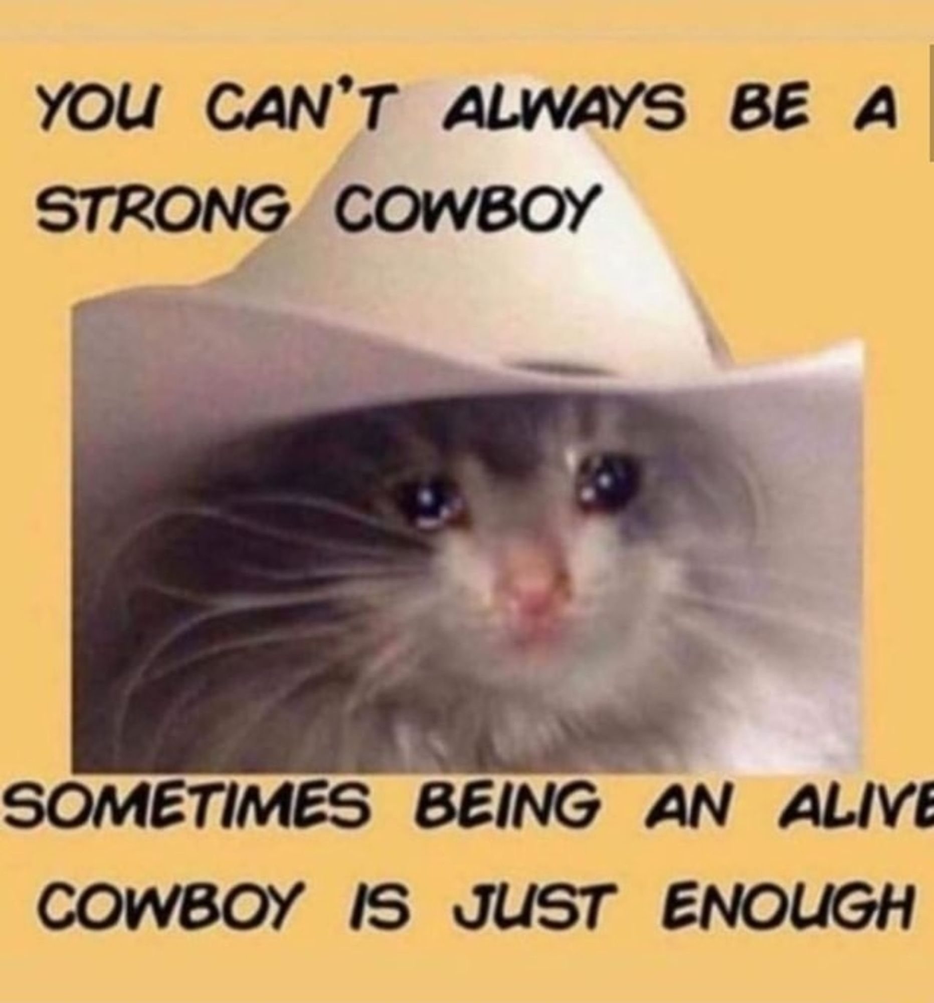 a sad cat in a cowboy hat surrounded by text that says: 
You can't always be a strong cowboy, sometimes being an alive cowboy is just enough