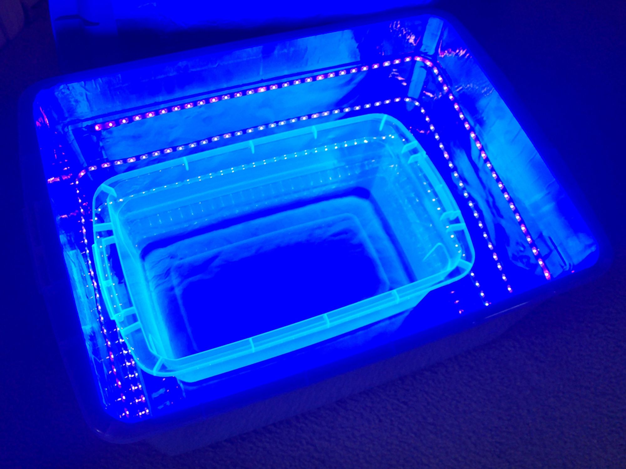 Clear plastic bins, the larger lined with foil and UV LED strips