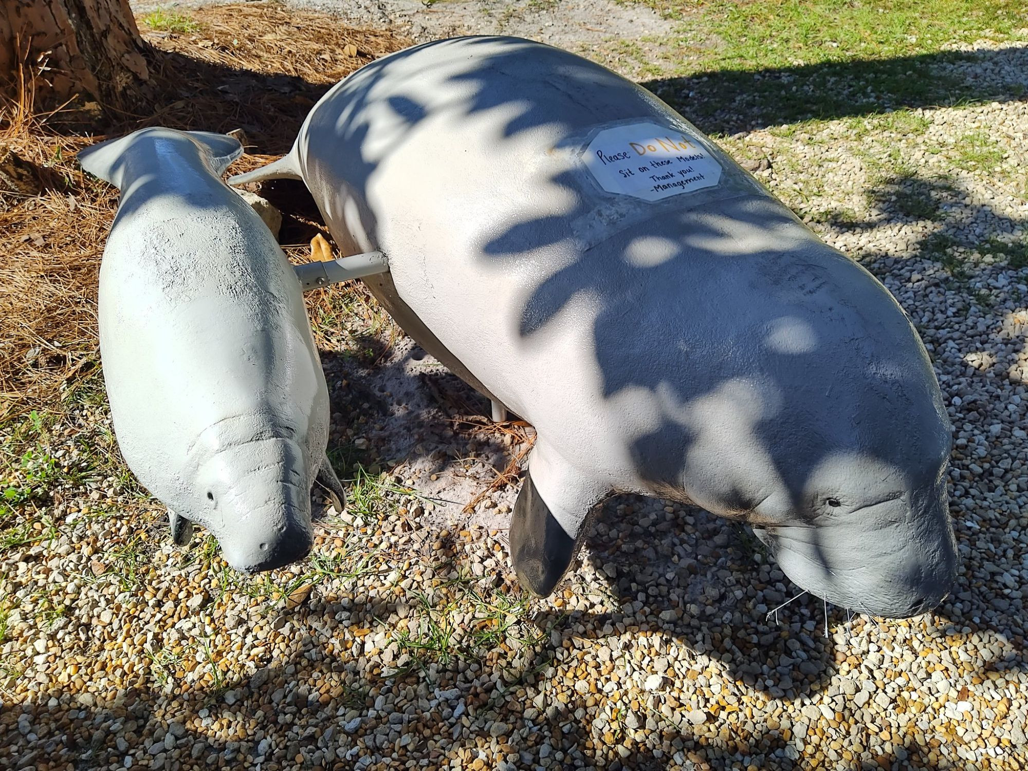 model of manatee mom and baby attached by a pipe