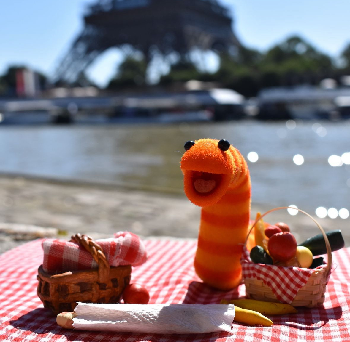 Slimey the worm is a character from Sesame Street. He is an orange and yellow striped worm and so small he can fit in the palm of your hand.
Here he is pictured on the side of the canal with a beautiful little picnic fit for a king such as himself as the Eiffel Tower stands in the background.