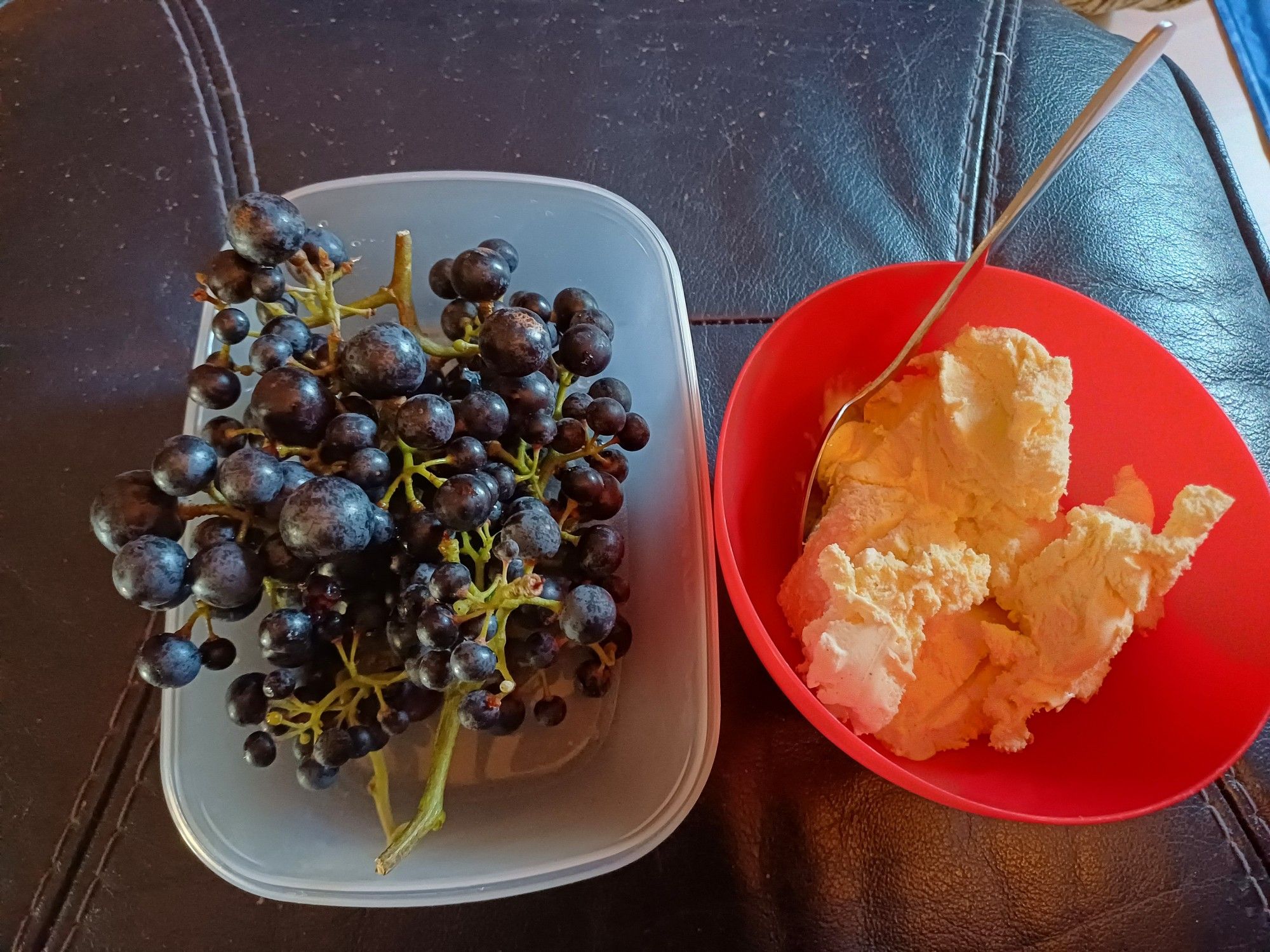 Bakje met blauwe druiven en een bakje met schepijs