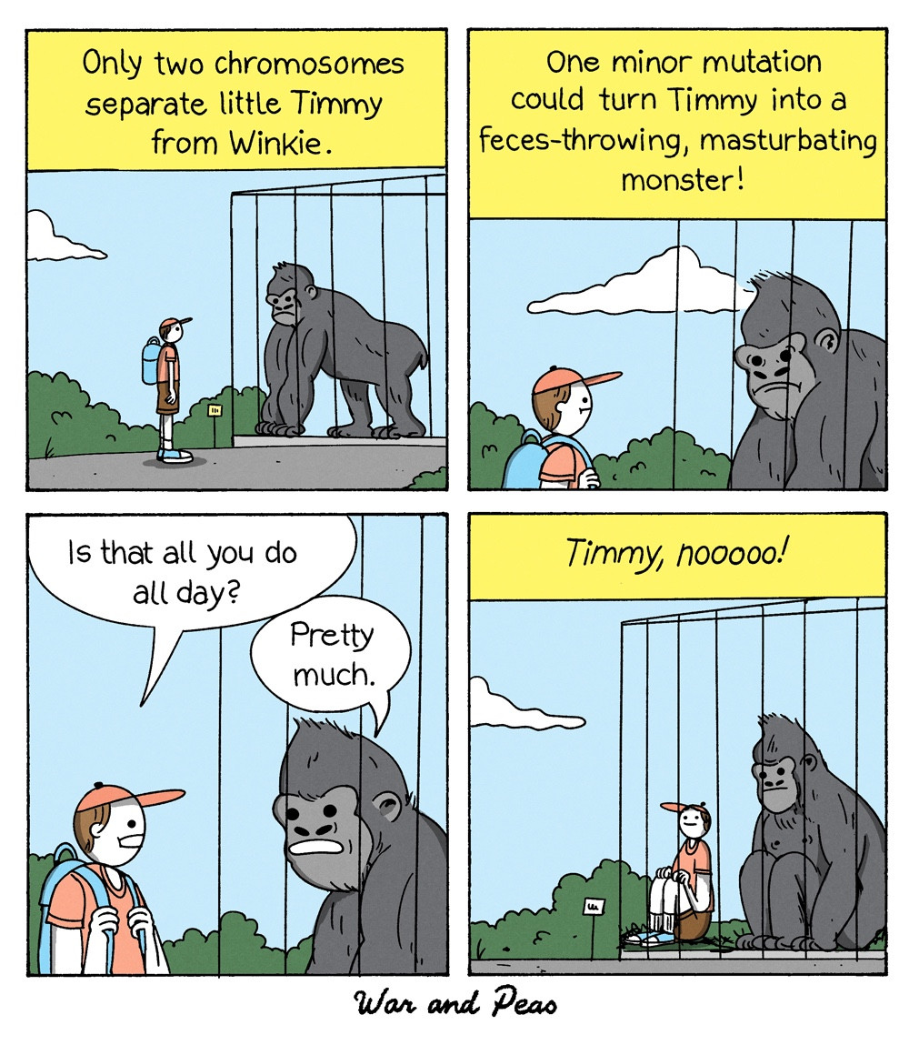 4-panel comic by War and Peas.
Panel 1: A boy named Timmy stands in front of a gorilla inside a cage at a zoo. A narration box reads, "Only two chromosomes separate little Timmy from Winkie."
Panel 2: The gorilla stares back at Timmy while another narration box reads, "One minor mutation could turn Timmy into a feces-throwing, masturbating monster!"
Panel 3: Timmy, now sitting next to the gorilla's cage, asks, "Is that all you do all day?" The gorilla responds, "Pretty much."
Panel 4: Timmy is now sitting inside the gorilla's cage, looking horrified, as the narration reads, "Timmy, noooo!" The gorilla sits quietly next to him.