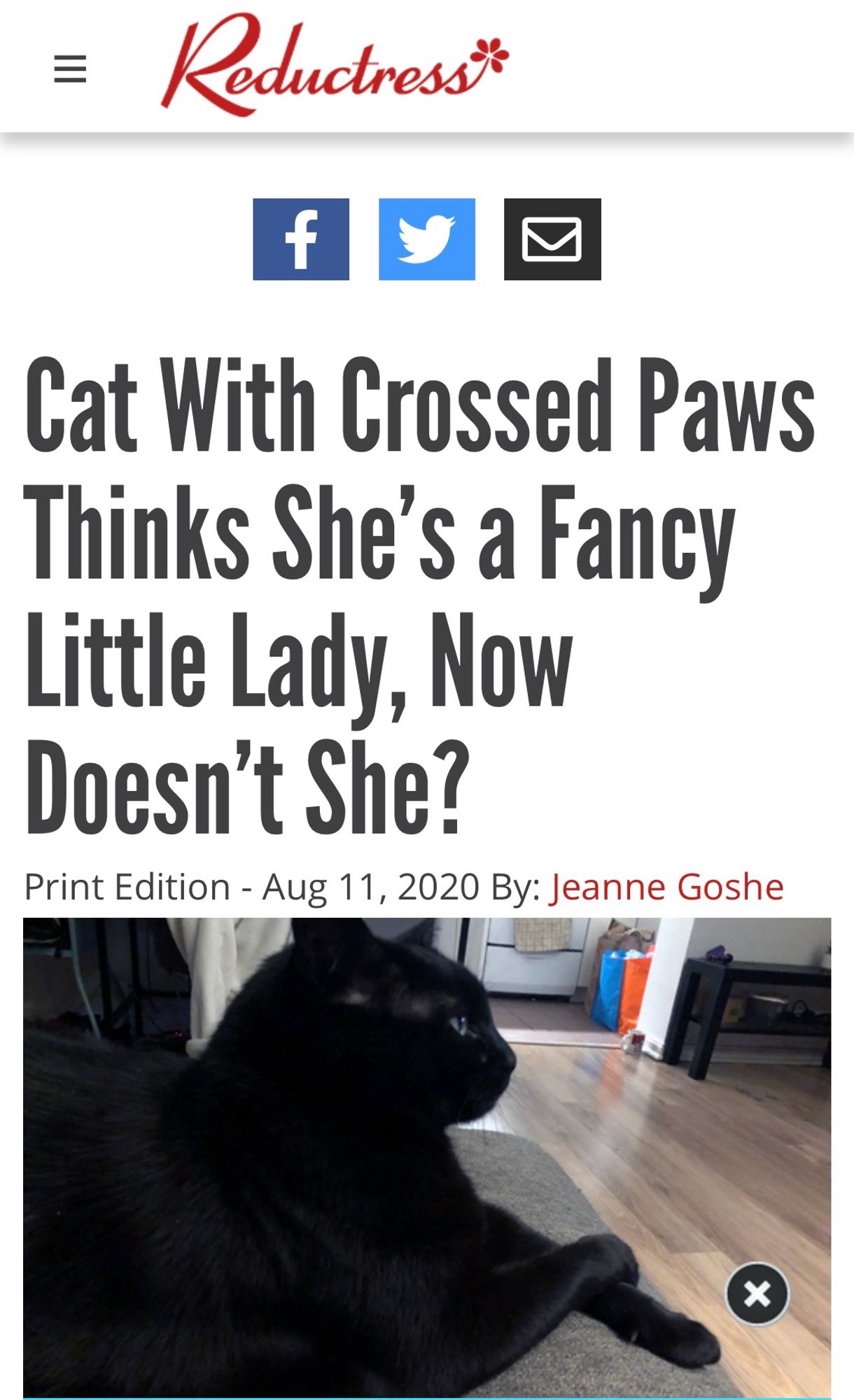 Reductress headline that reads “Cat With Crossed Paws Thinks She's a Fancy Little Lady, Now Doesn't She?”. 
There is a picture showing the side profile of a black cat with cross paws