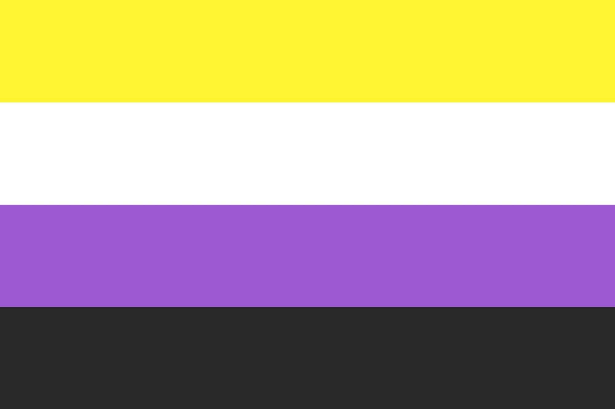 Non Binary Flag