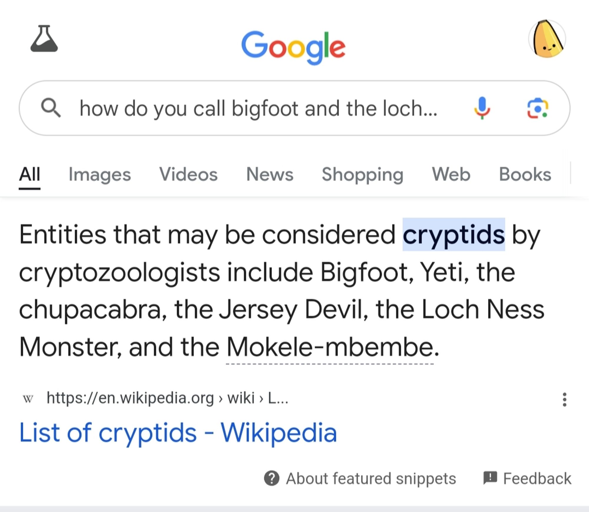 A Google search for the line "how do you call bigfoot and the loch ness monster" with the first result being a list of cryptids on Wikipedia with the word "cryptid" highlighted