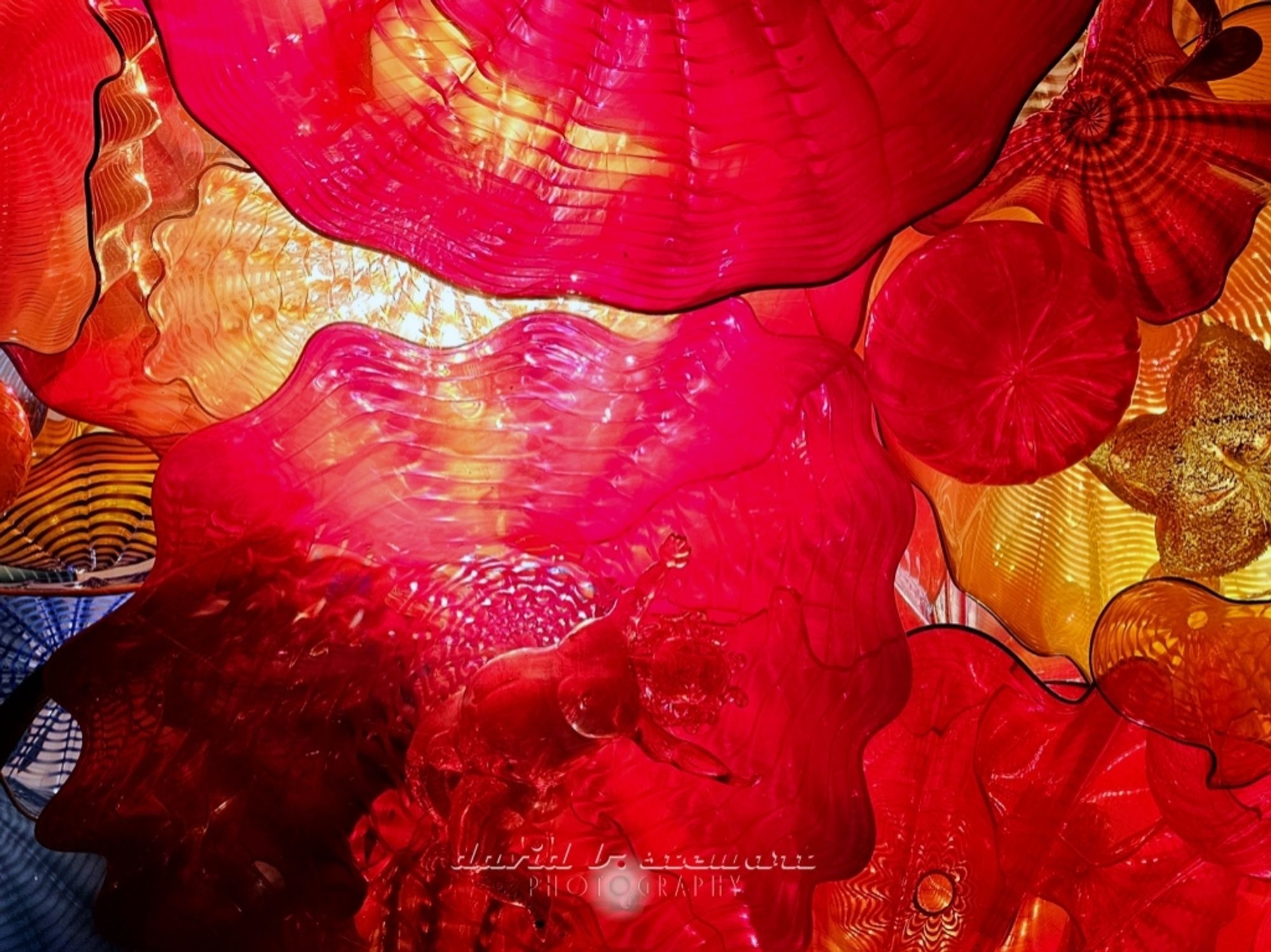 'The Spirit of the Maker'
Viewing only a small portion of the installation, Chihuly installed this extensive 2014 glasswork display entitled 'The Spirit of the Maker' in the ceiling of the rickhouse hallway between the tasting rooms and the gift shop at Maker's Mark Distillery,  Loretto, KY USA.

#MondayRed #ColorfulMonday #abstractartmonday #originalcontent #photographerlife #shareyourparadise #samsung #galaxy #S23Ultra