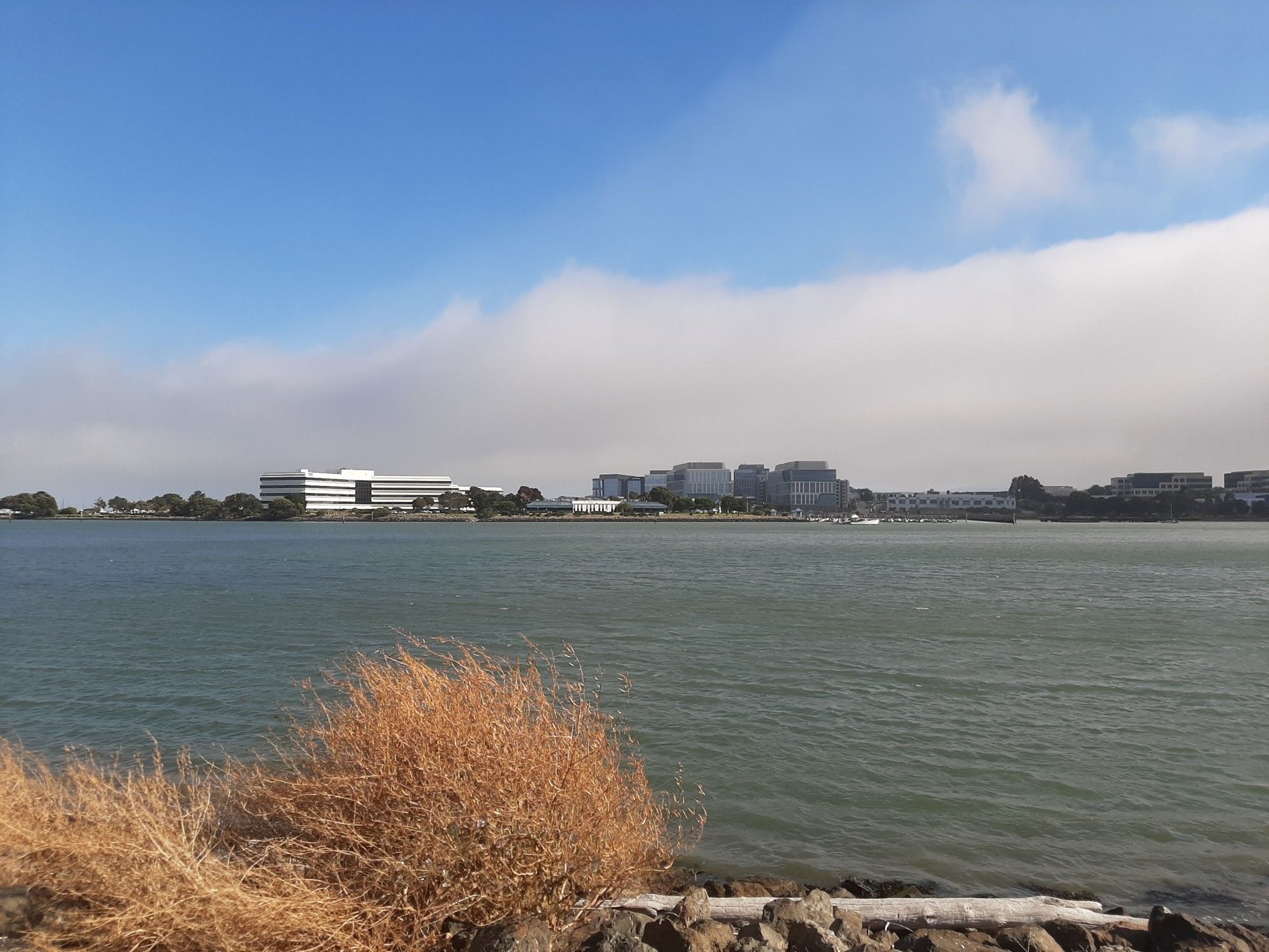 Oyster Point with its office buildings across the water. A wall of cloud flows behind it underneath an otherwise sunny sky.