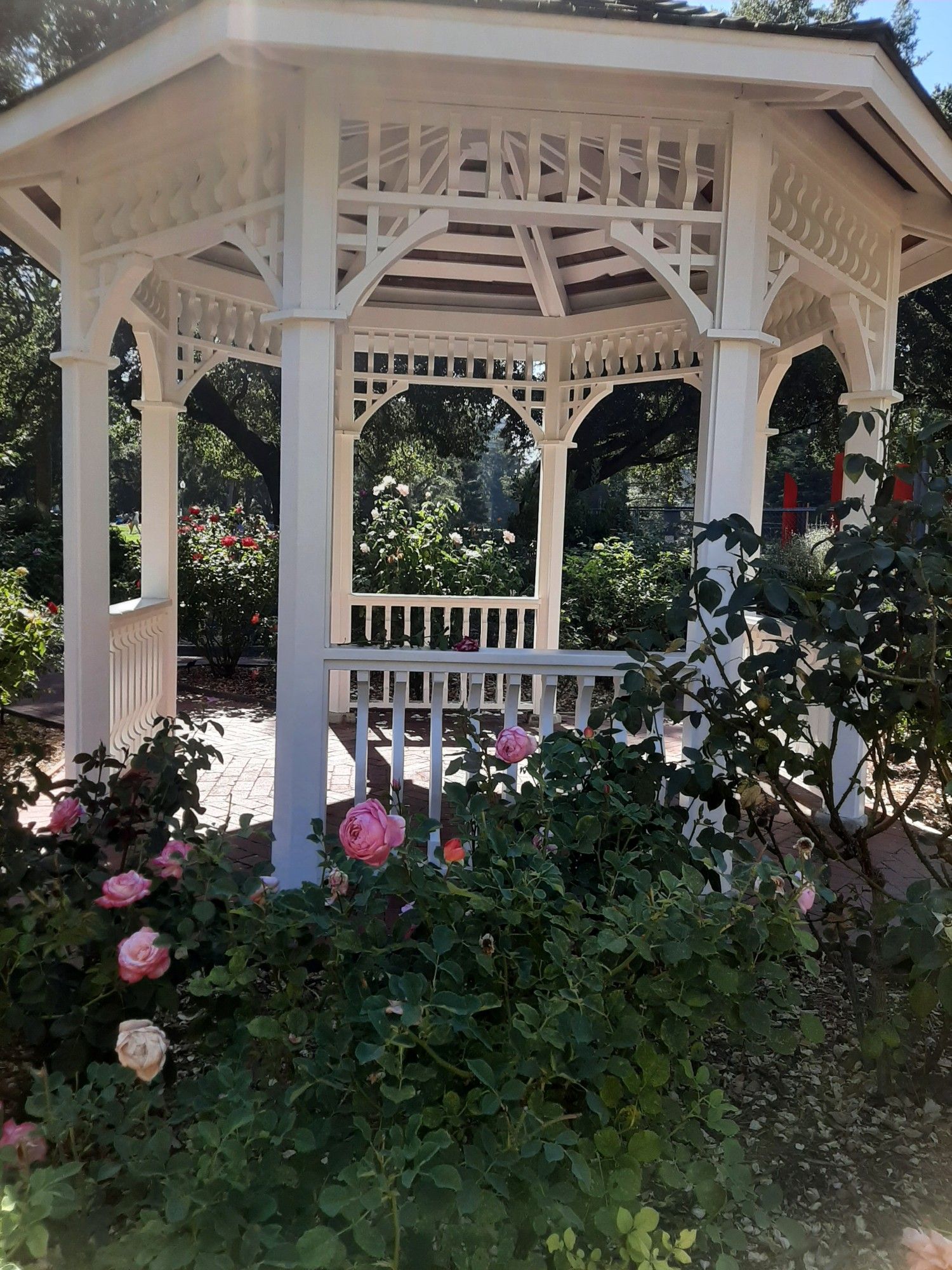 A gazebo surrounded by rose bushes.