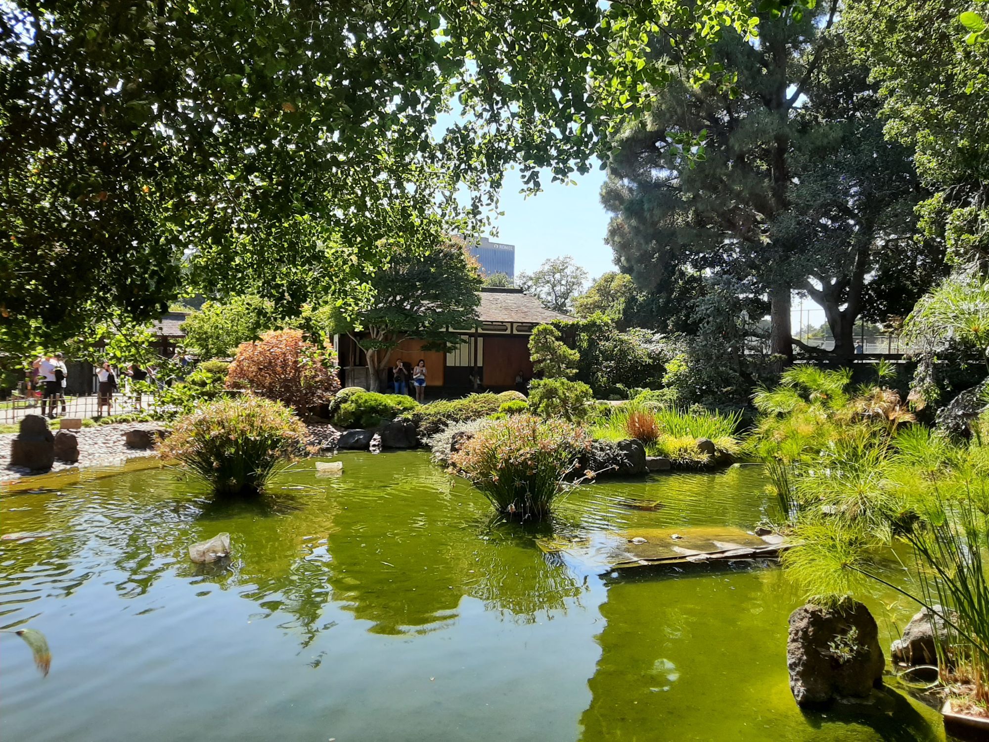 A koi pond and a tea house across it.