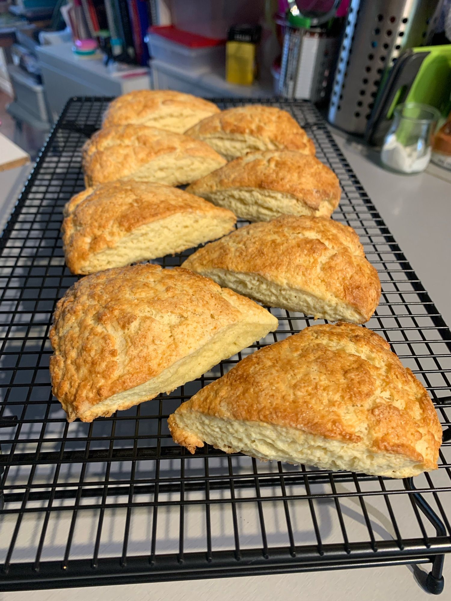 eight golden brown scones cooling 
on a rack  

CLASSIC SCONES
8 to 12 scones
Increase the sugar up to 1/4 cup for a sweeter scone.
Preheat the oven to 450°F.
Sift together into a large bowl:
1¾ cups all-purpose flour
2¼ teaspoons baking powder
1 tablespoon sugar
½ teaspoon salt
Cut in, using a pastry blender or 2 knives, until the size of small peas:
¼ cup (½ stick) cold butter
Beat in a small bowl:
2 large eggs
Reserve 2 tablespoons of the beaten eggs. Beat in to the reminder:
⅓ cup heavy cream
Make a well in the dry ingredients. Pour in the liquid and combine with a few swift strokes. Handle the dough as little as possible. Turn it out onto a lightly floured board. Pat to ¾ inch thick. To make the classic wedge shape, pat into an 8-inch round and then cut into 8 to 12 wedges or cut into diamond shapes or as for Biscuit Sticks, above. Place on an ungreased baking sheet. Brush with the reserved egg and sprinkle with:
Salt or sugar
* Bake until golden, about 15 minutes.