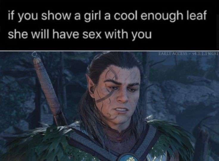 Text at top reads, "if you show a girl a cool enough leaf she will have sex with you"

Screencap of Halsin from Baldur's Gate 3 takes up the lower two-thirds of the image.