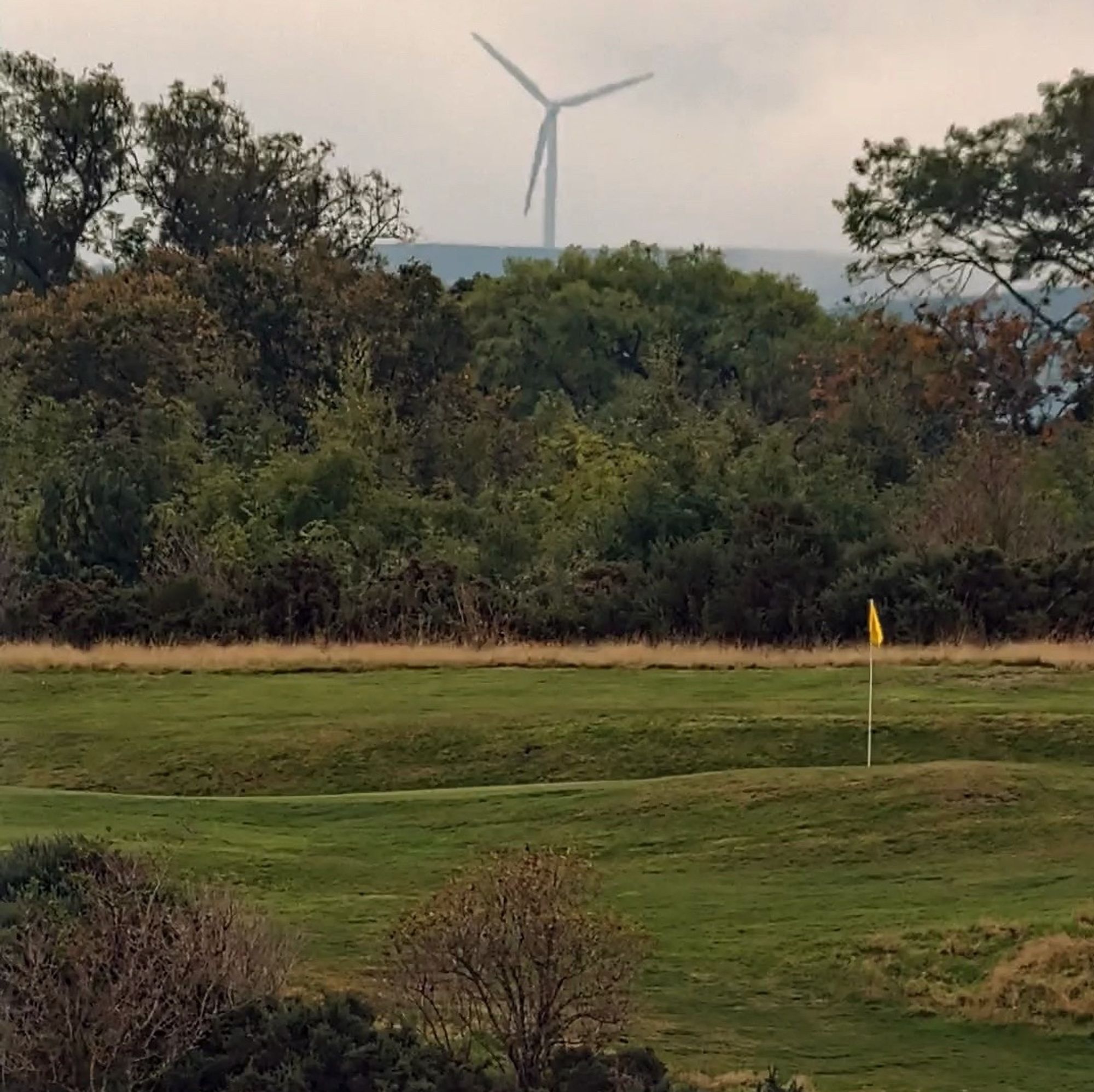 Landscape shot with the Seestar S50, showing a flag in the middle of distant golf course, with a wind turbine in the background