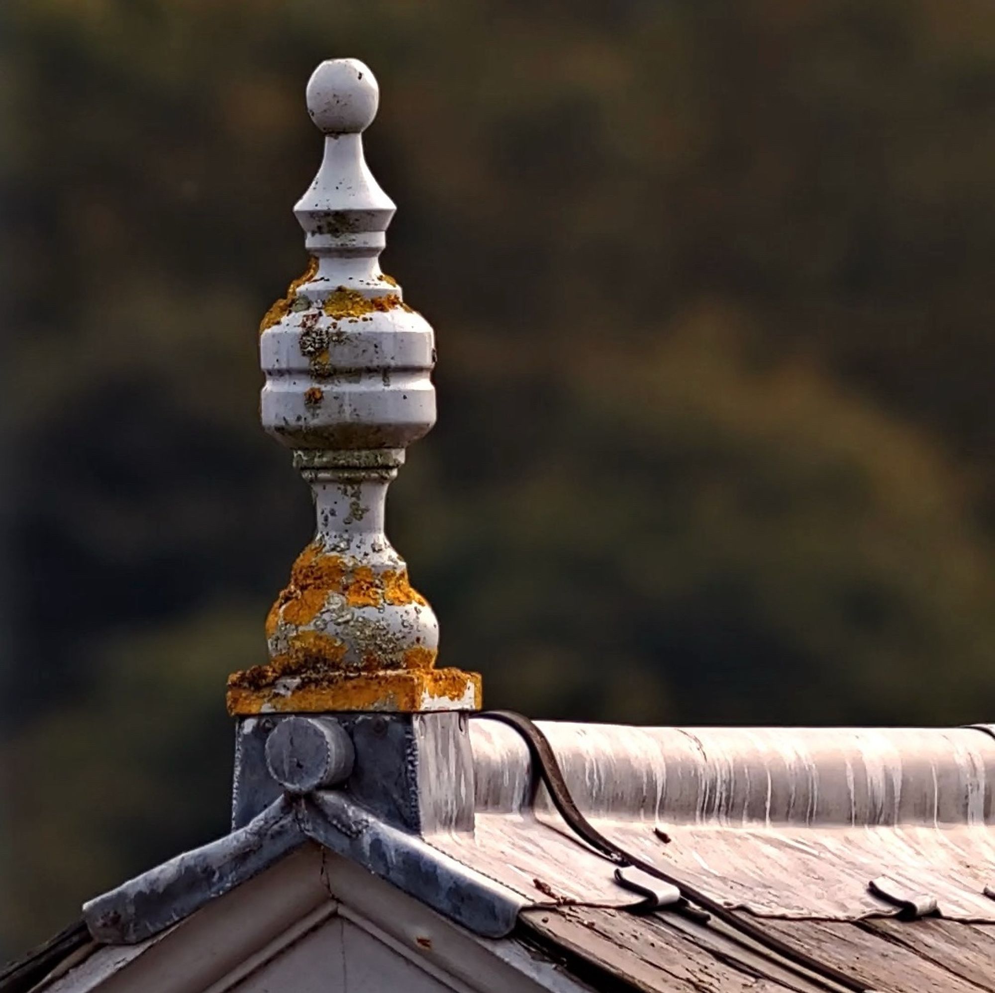 Picture of a roof detail, taken with the Seestar S50