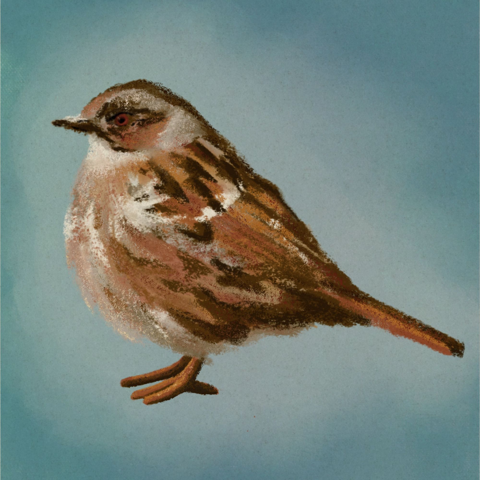 A loose digital sketch of a very round, fluffed up bird with beige and red brown feathers, dark brown spots and a vaguely disgruntled expression on a bluish background