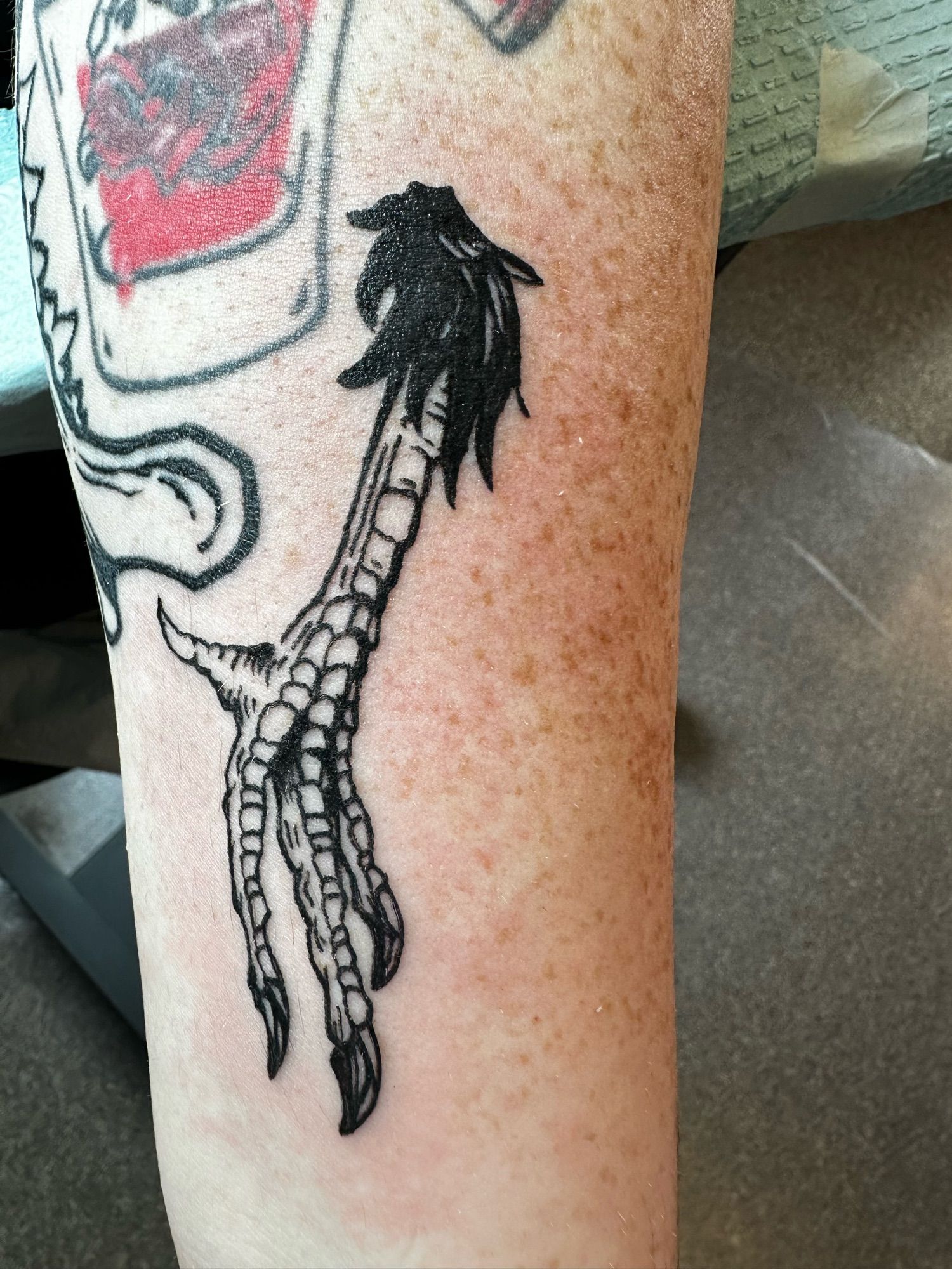 Picture of a black rooster leg tattoo on an arm
SerafineArt💀
#worldgothday #rooster #goth #bird #birdleg #tattoo #tattoodesign #macabre #apprentice tattoo