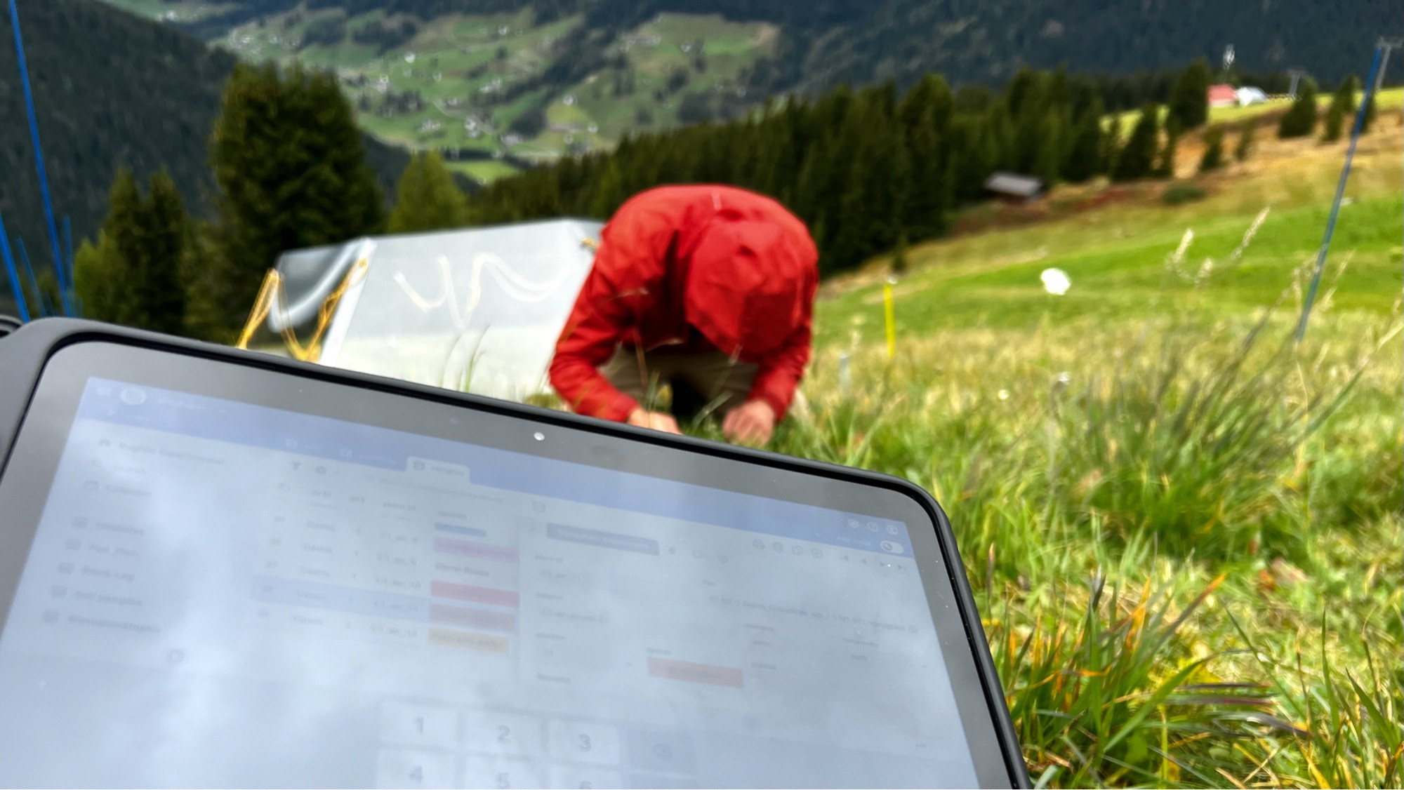 Tablet computer that is used for data collection on a mountain meadow