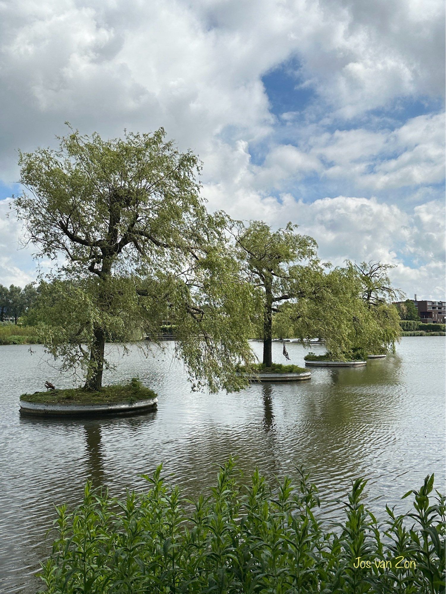 Allemaal drijvende eilanden in de Floraplas 👌