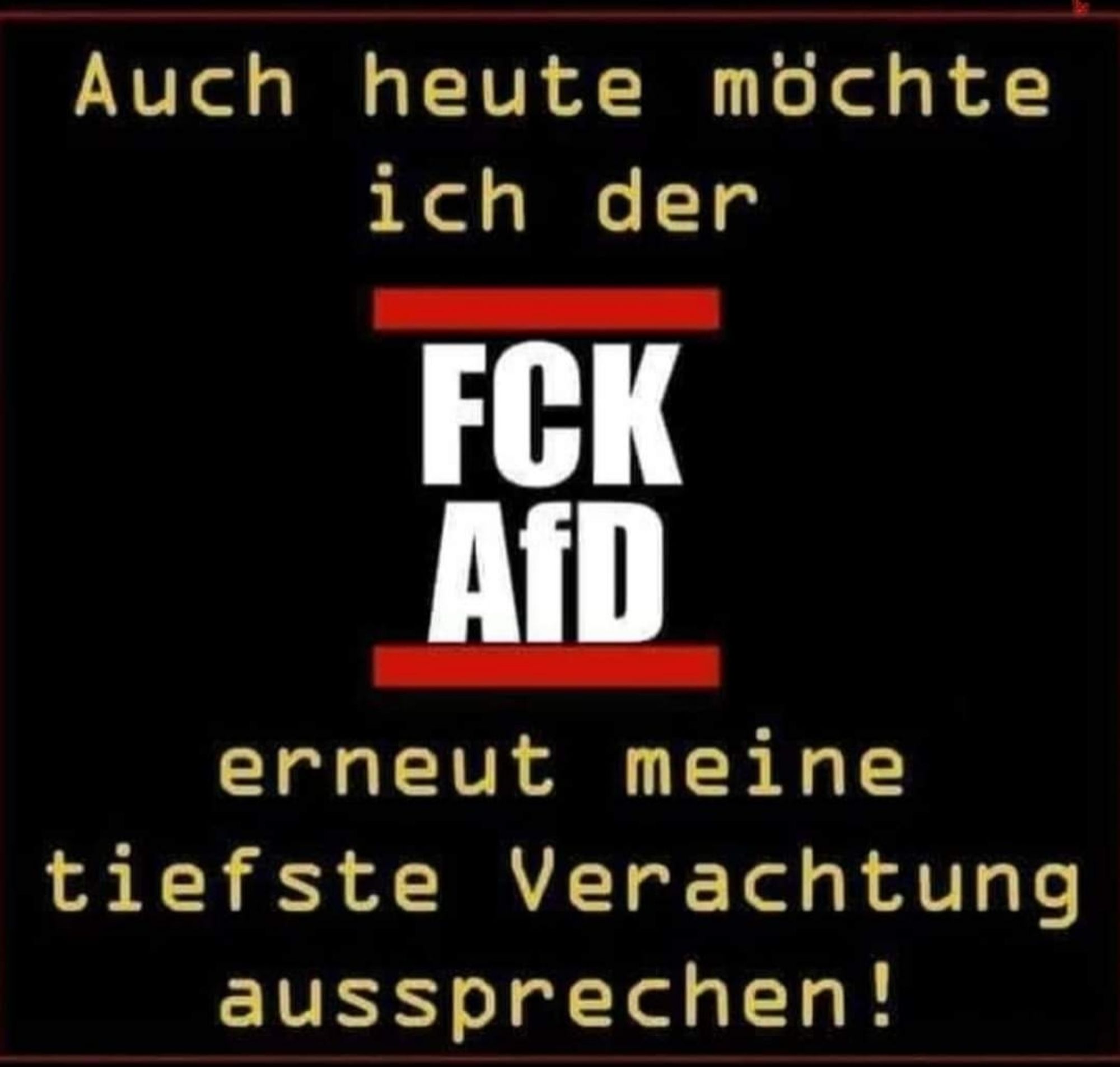 Text der Kachel: auch heute möchte ich der fck AfD erneut meine tiefste Verachtung aussprechen!