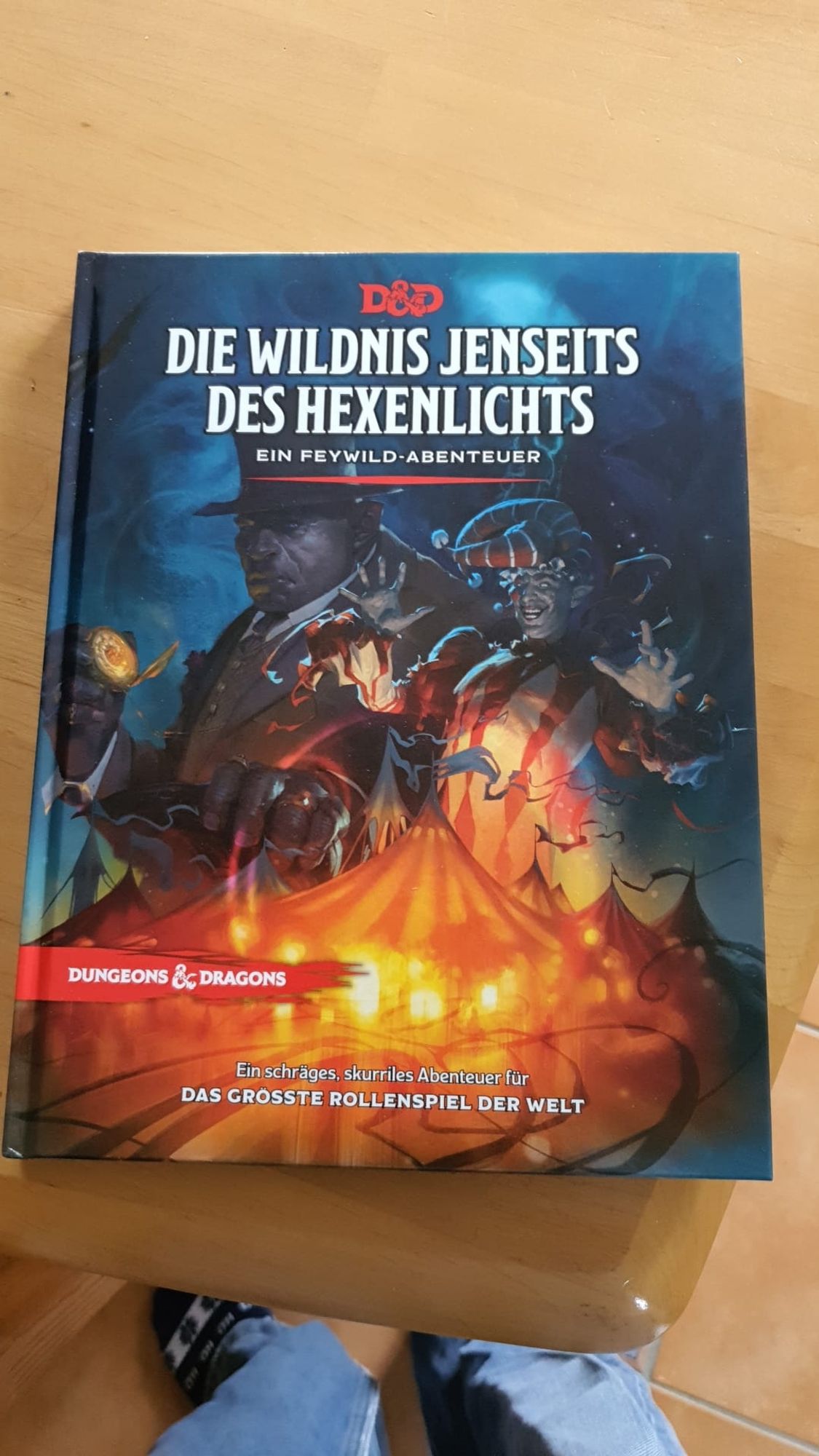 Cover vom DnD abenteuer "die Wildnis jenseits des hexenlichts"