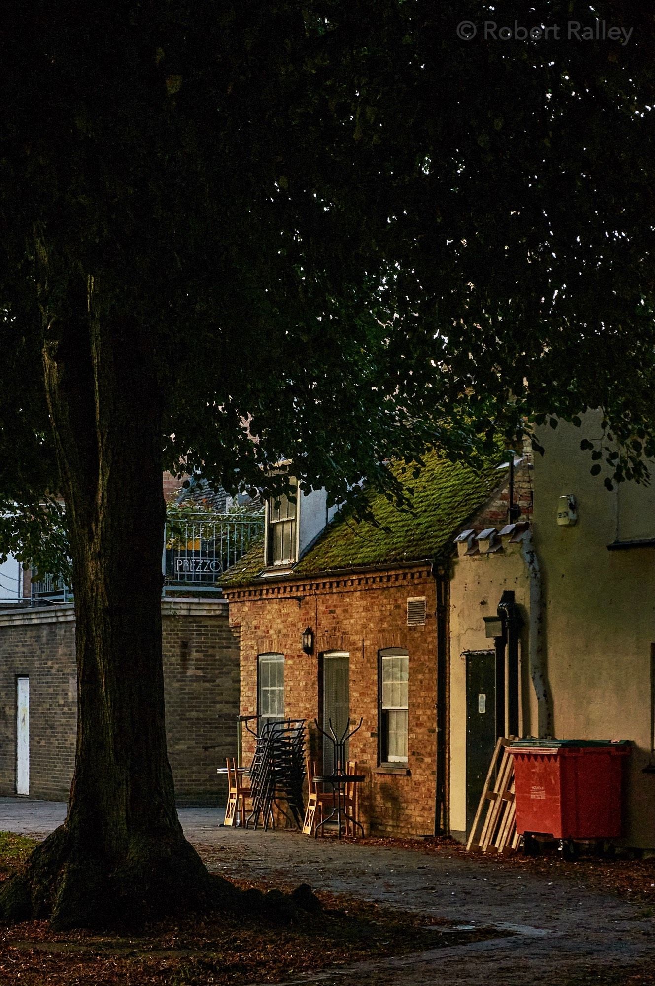 The back of High Street buildings in late afternoon light, in the shadow of a large tree. There are cafe chairs and tables stacked and there is a large red bin. Just visible through balcony railings is a 'PREZZO' sign.