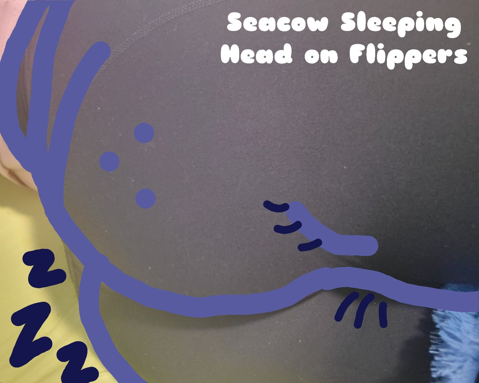 Poor drawing of a manatee sleeping on their flippers and snoring.