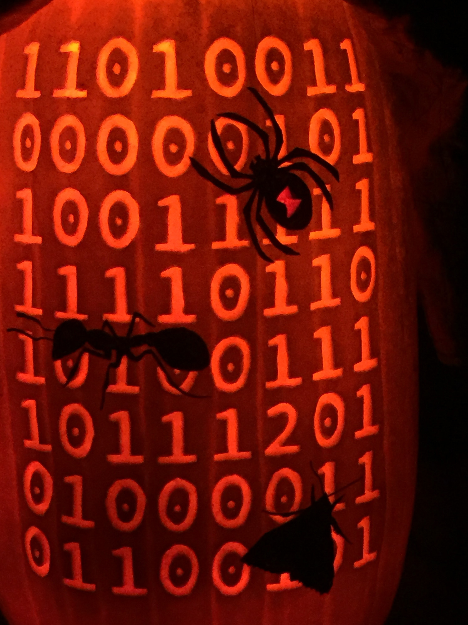 Buggy code Jack-o'-lantern. Pumpkin covered with "binary code" (although there is a 2?!?!). On top of the code parade insects (ant, spider, moth) i.e., "bugs". 