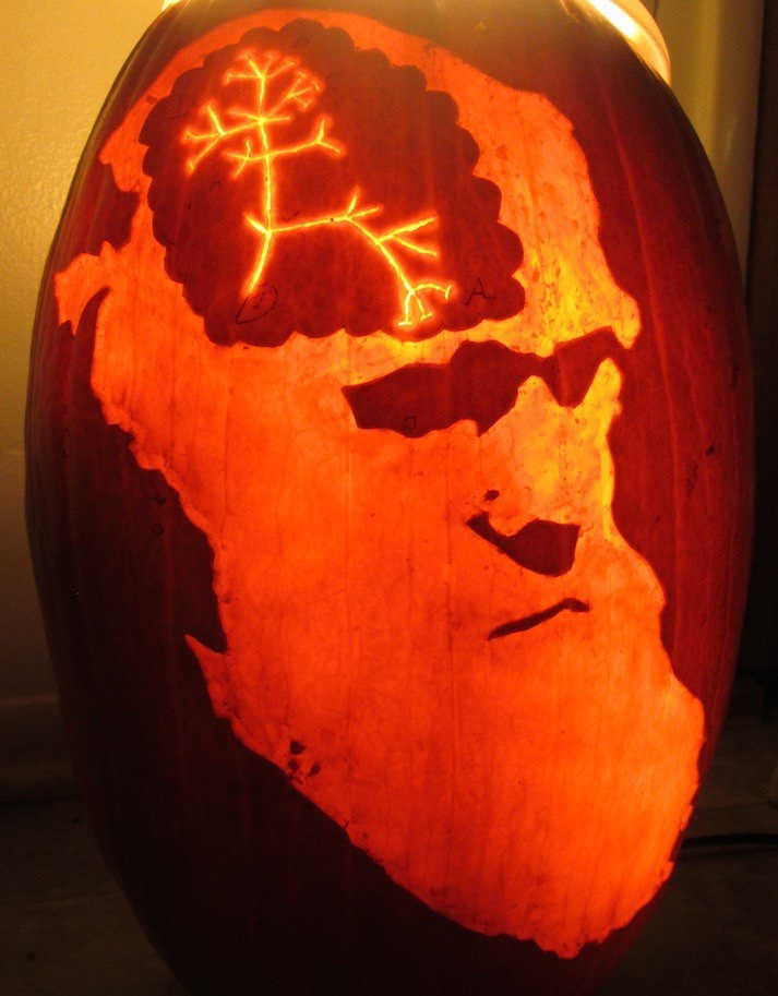 Thinking Darwin Jack-o'-lantern. Bearded Charles Darwin stares gravely; inside his head we can see his brain, inside which is his "I think" illustration).