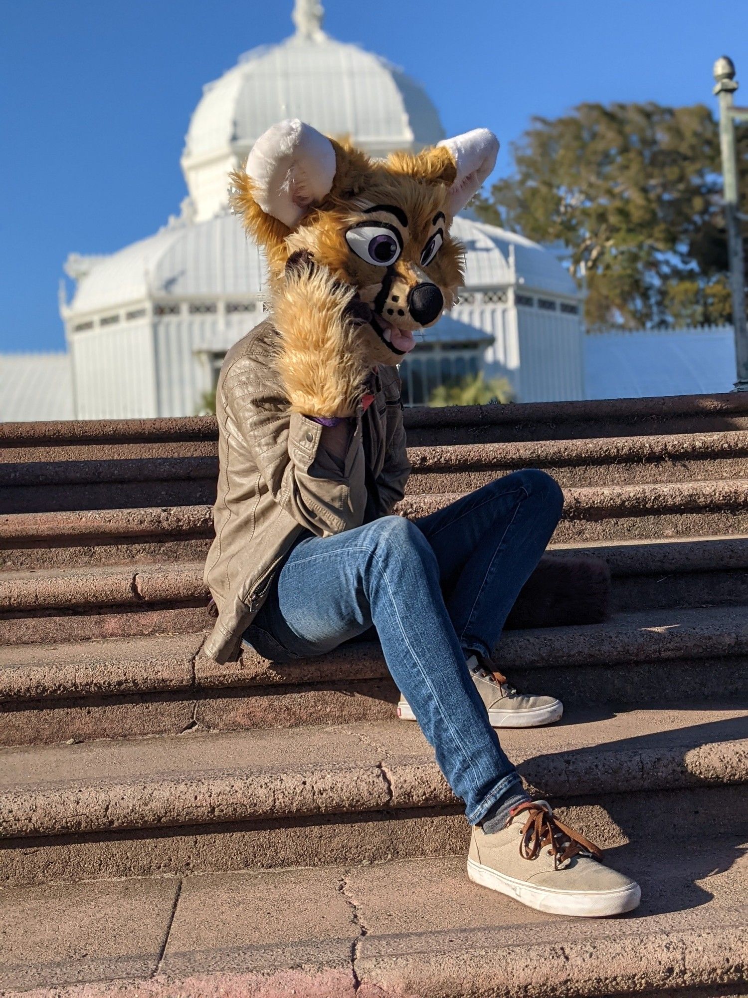 Photo of a cape fox fursuiter (partial) speaking on a mobile phone.