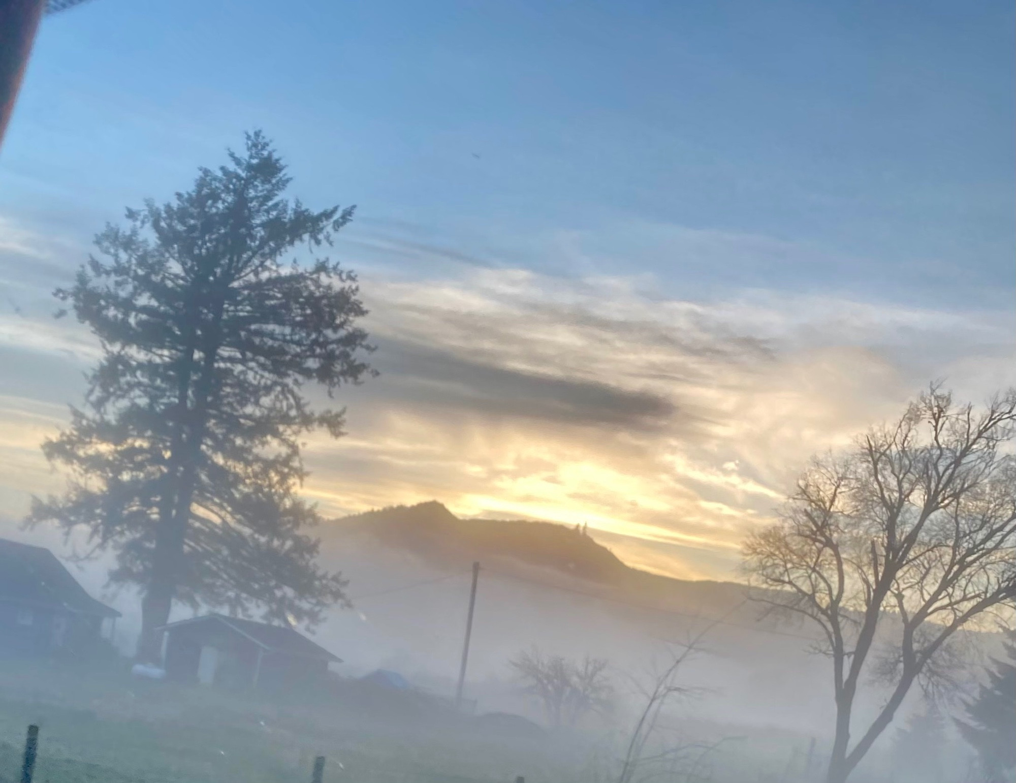 Low lying fog along a river in Oregon.