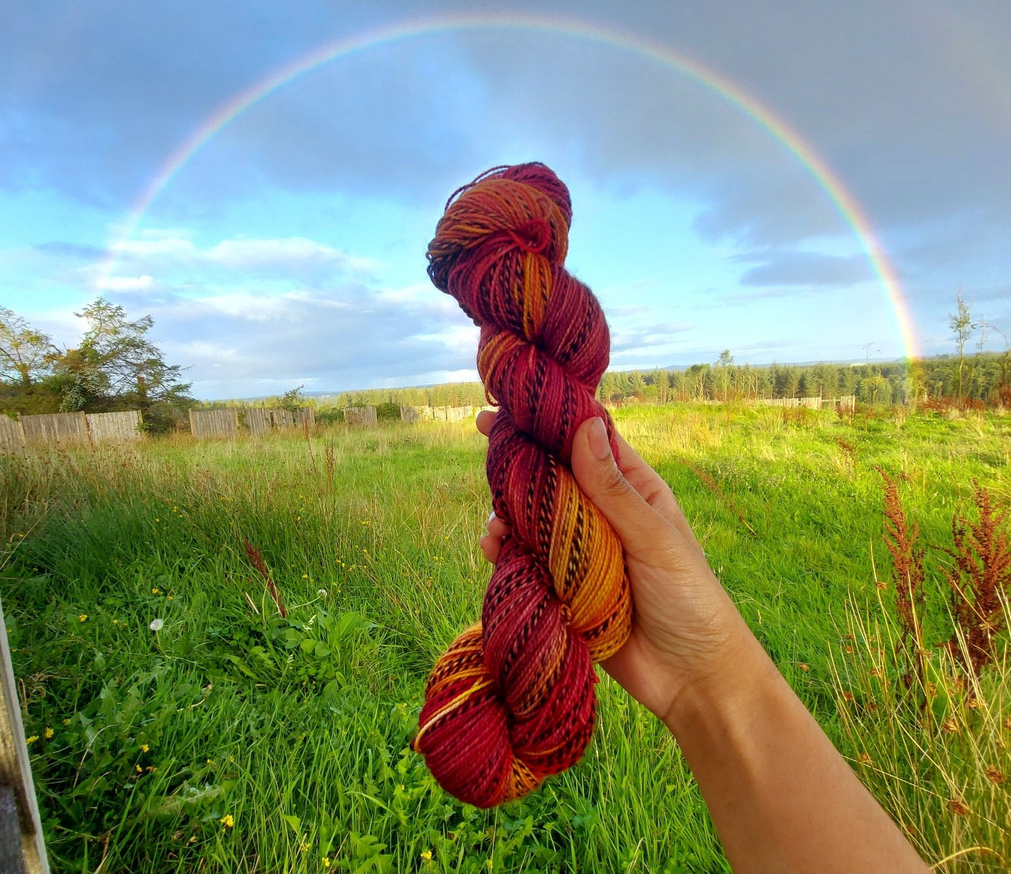 Holding up a skein of yarn in the middle of a rainbow arc. Grass and sky behind