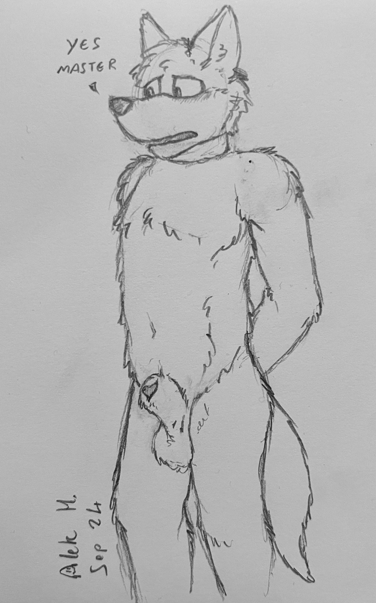 Furry art sketch of Ember the black werewolf, the main character in the book, Collar The Wild.