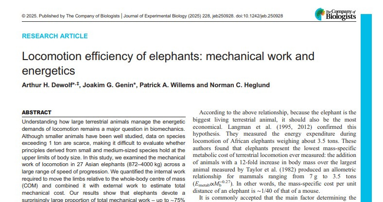 Screenshot of the Journal of Experimental Biology Research article Locomotion efficiency of elephants: mechanical work and
energetics by Arthur H. Dewolf, Joakim G. Genin, Patrick A. Willems and Norman C. Heglund. The publishing information states: © 2025. Published by The Company of Biologists | Journal of Experimental Biology (2025) 228, jeb250928. doi:10.1242/jeb.250928. The first line of the Abstract reads: Understanding how large terrestrial animals manage the energetic demands of locomotion remains a major question in biomechanics.